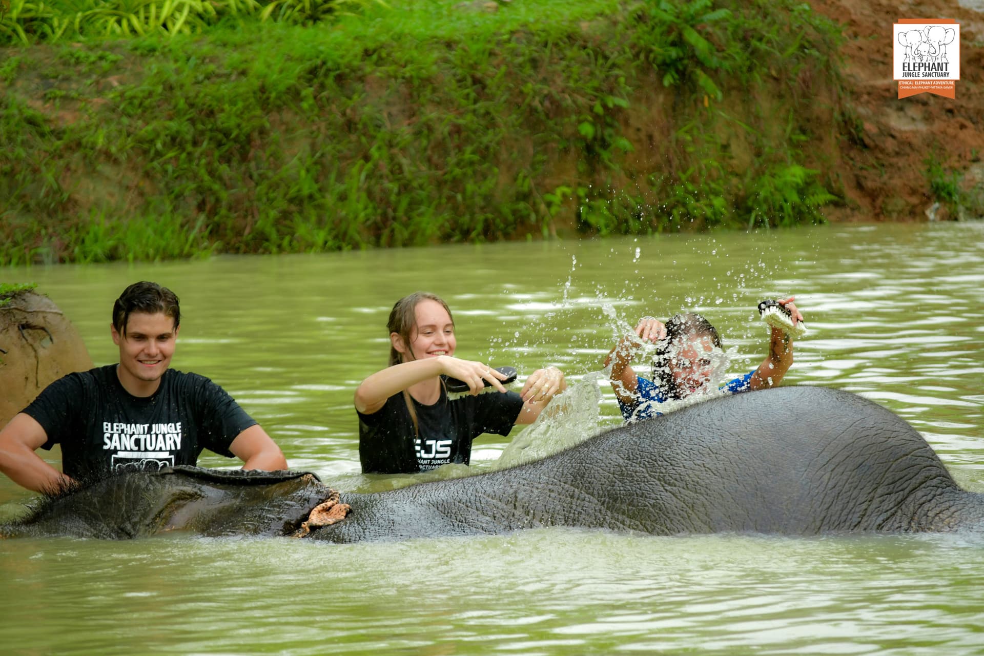 Elephant Jungle Sanctuary Phuket - تصویر 8