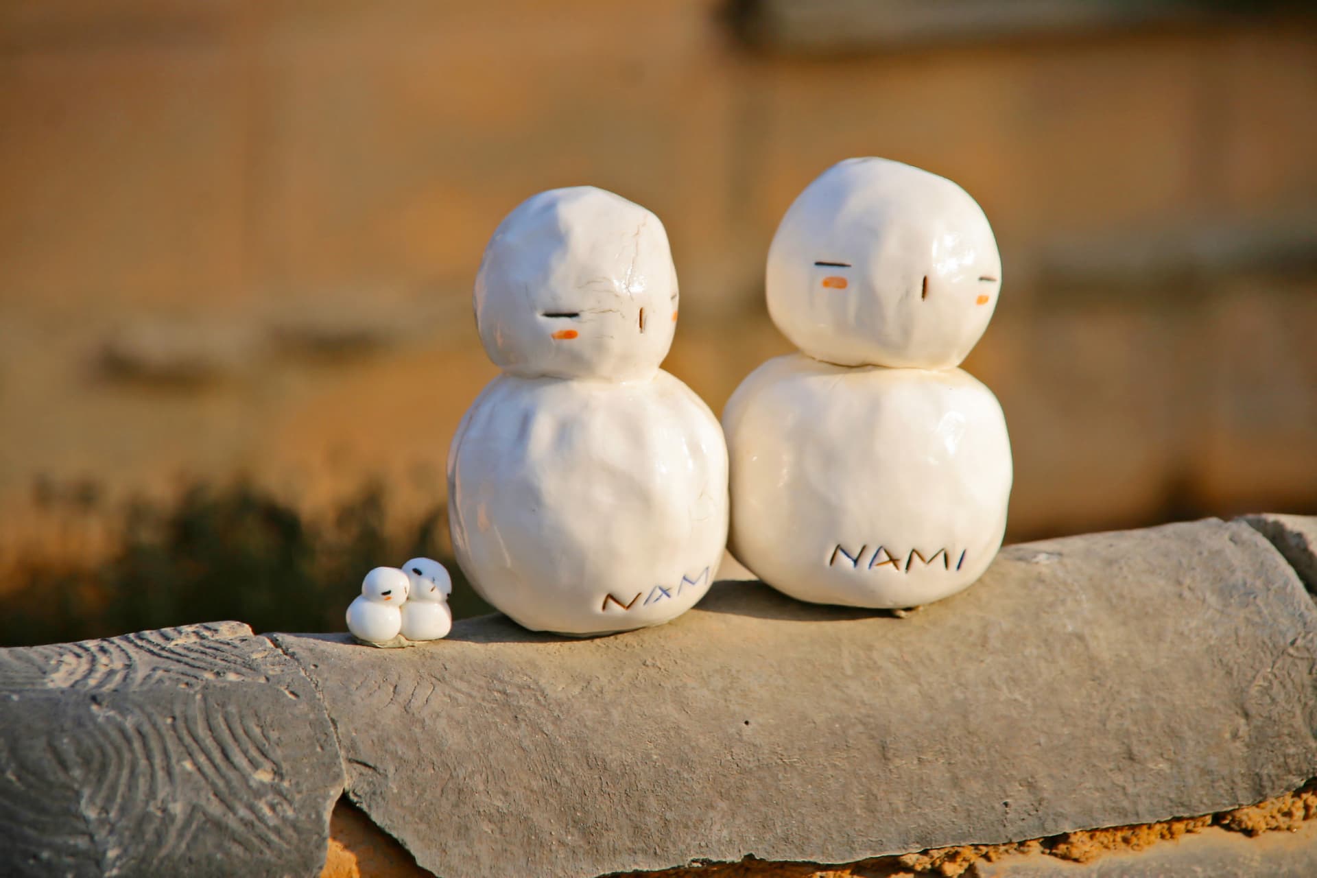 Nami Island, Petite France, Italian Village, and Garden of Morning Calm Tour from Seoul - تصویر 9