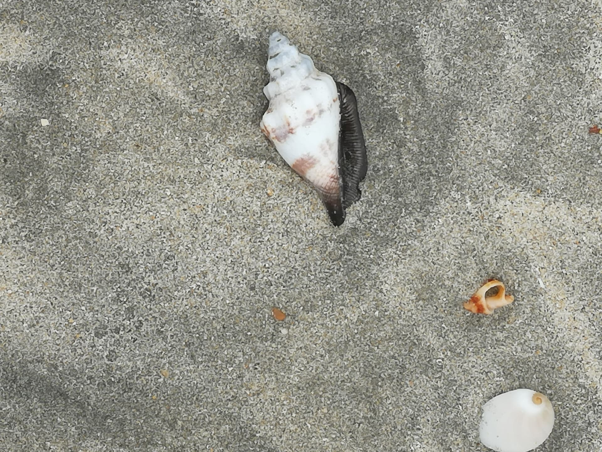Desaru Beach and Tide Pool Walk - تصویر 11