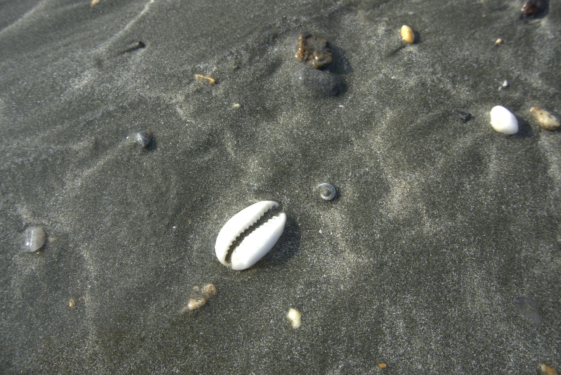 Desaru Beach and Tide Pool Walk - تصویر 20