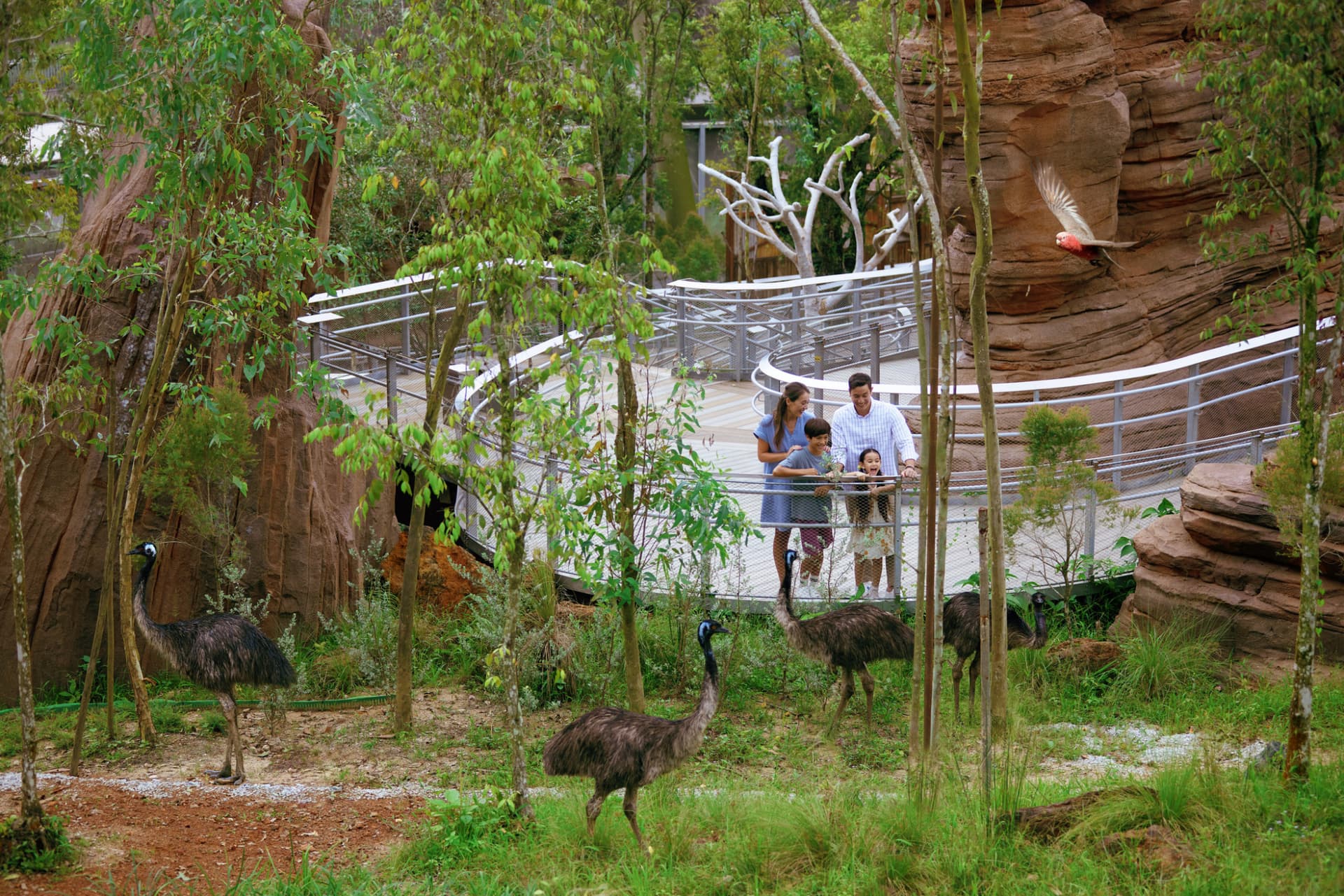 COMBO: River Wonders + Bird Paradise Ticket - تصویر 20