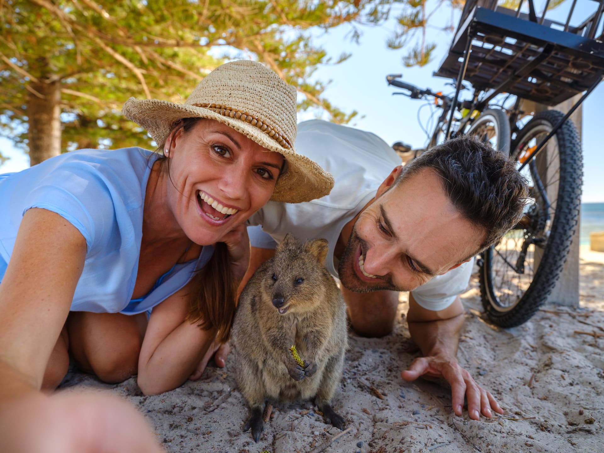 Round Trip SeaLink Ferry Transfer to Rottnest Island with Bike Hire - تصویر اصلی