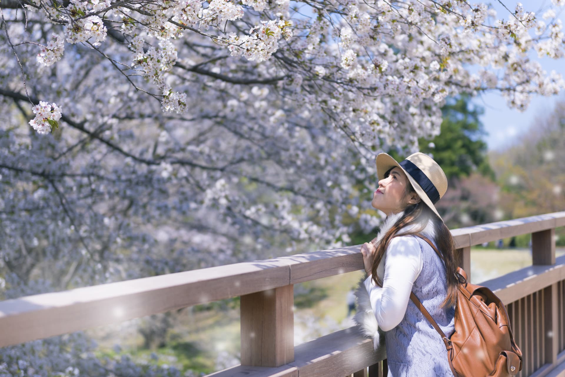 Professional Photo Shoot in Kyoto - تصویر 2