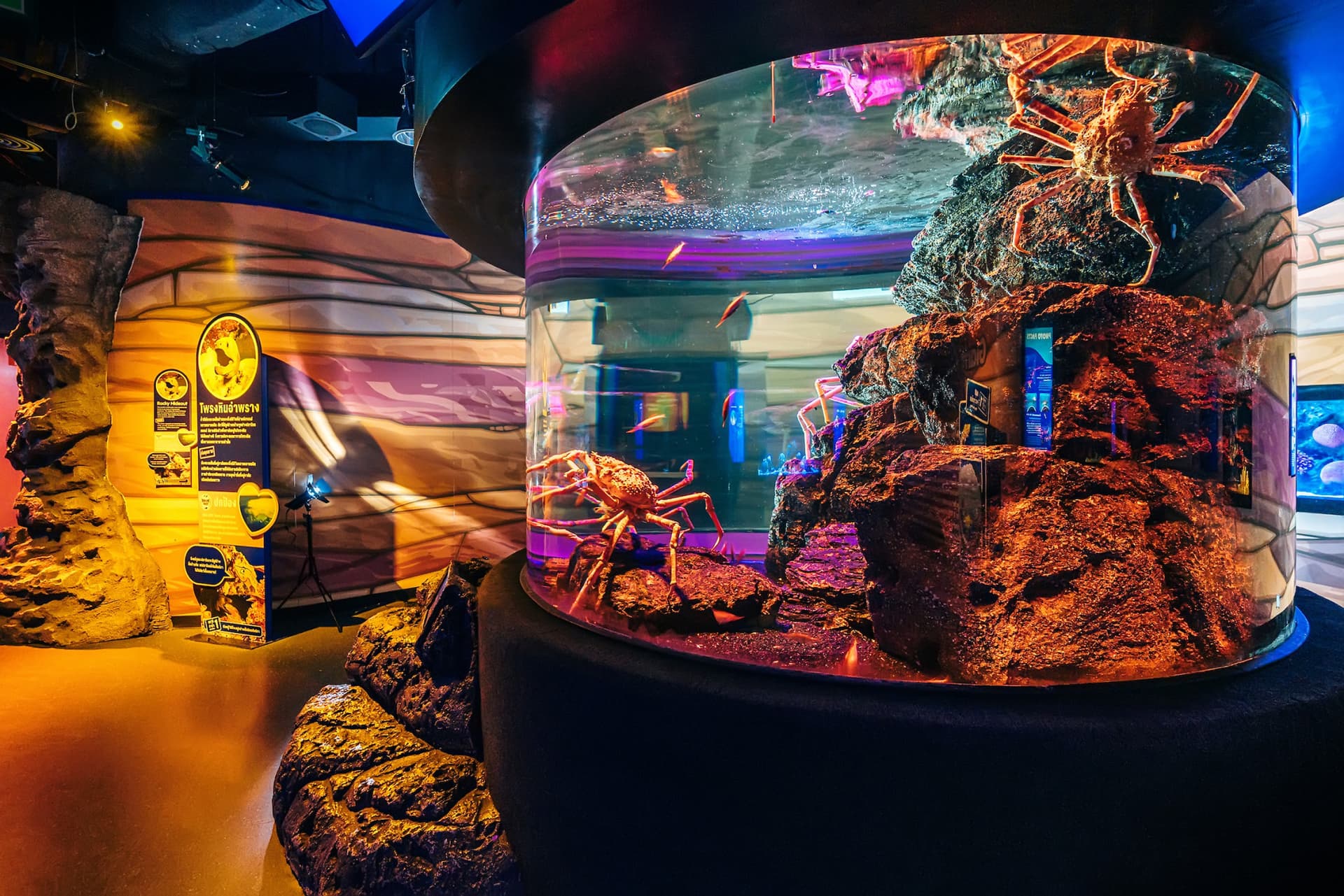 SEA LIFE Bangkok Ocean World Ticket - تصویر 6