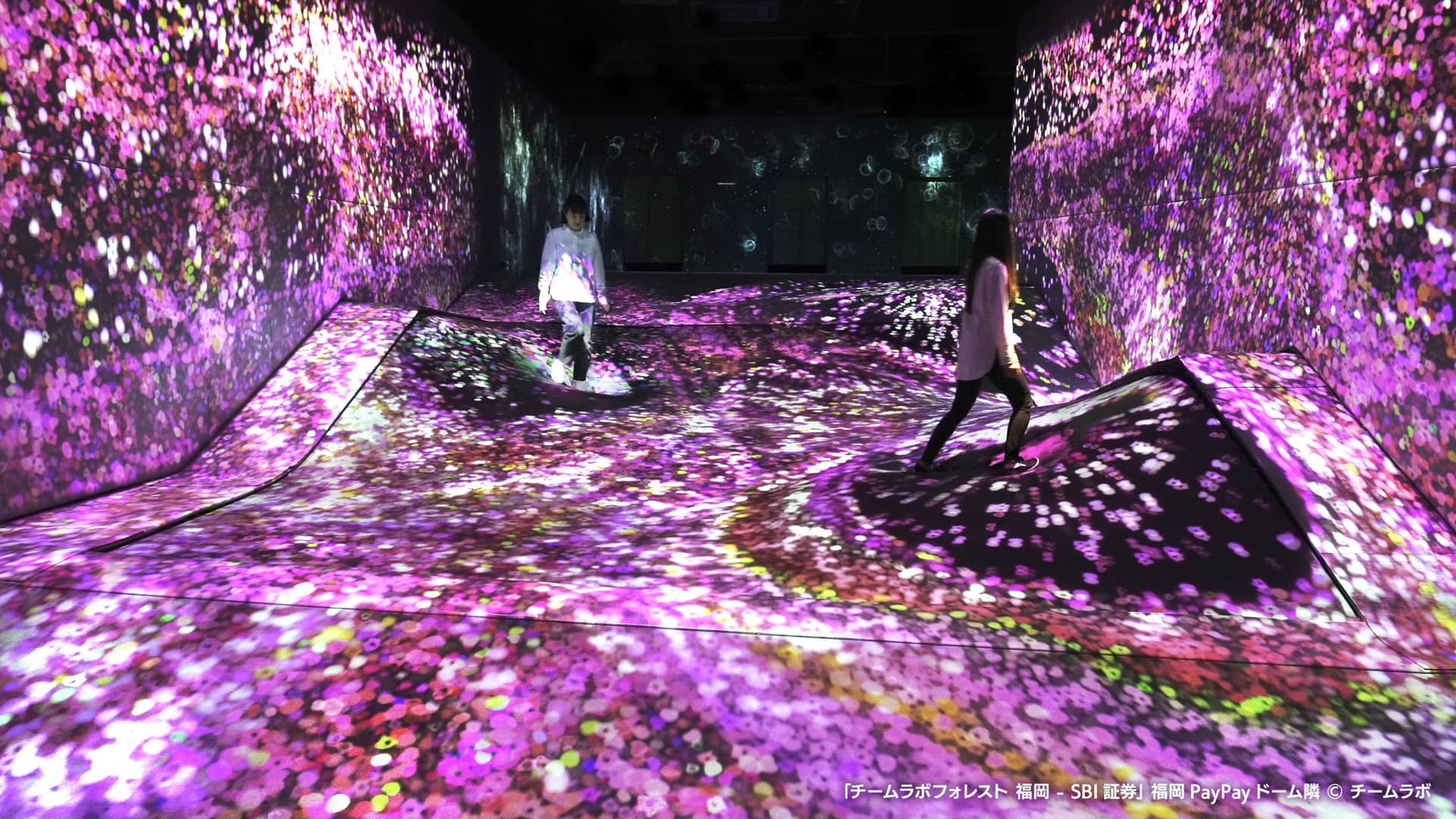 teamLab Forest Fukuoka - تصویر 3