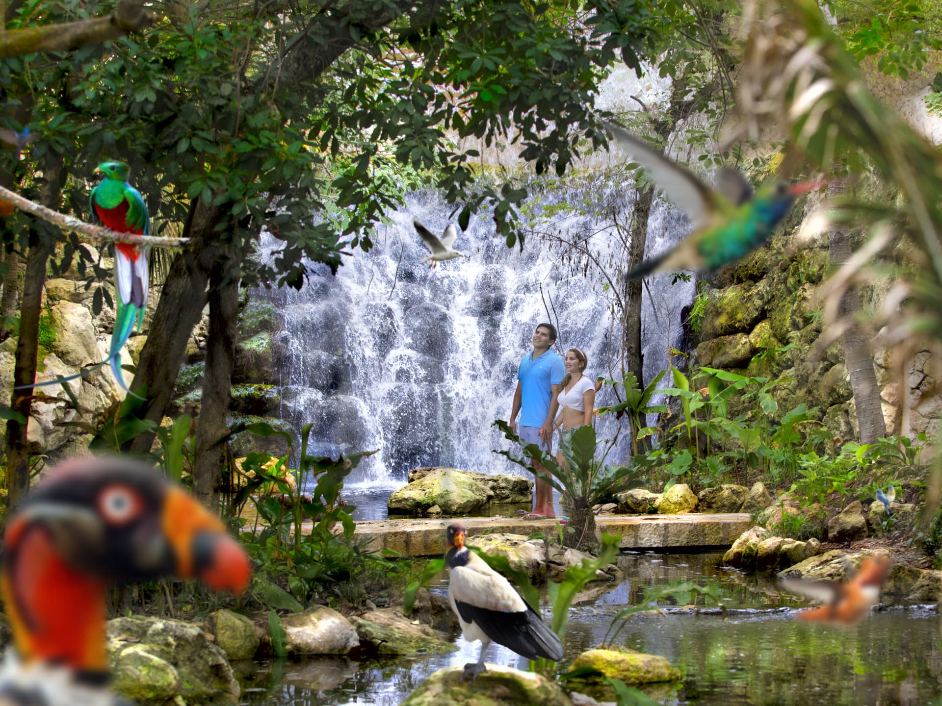Go City Cancun All-Inclusive Pass: Save up to 50% on Attractions - تصویر 3