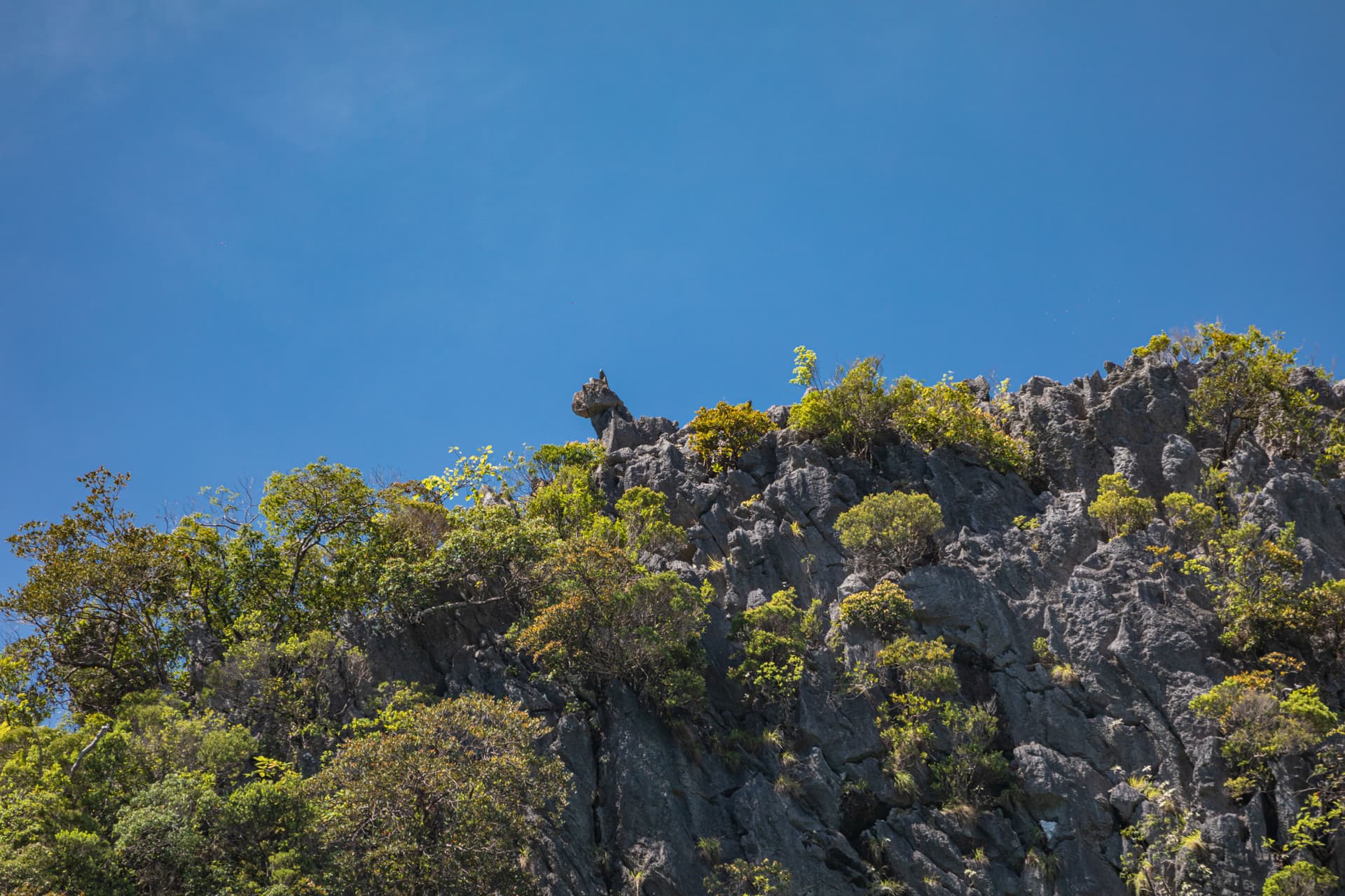 James Bond Island, Phang-Nga Bay, Hong Island, and Khai Island Tour from Phuket - تصویر 5