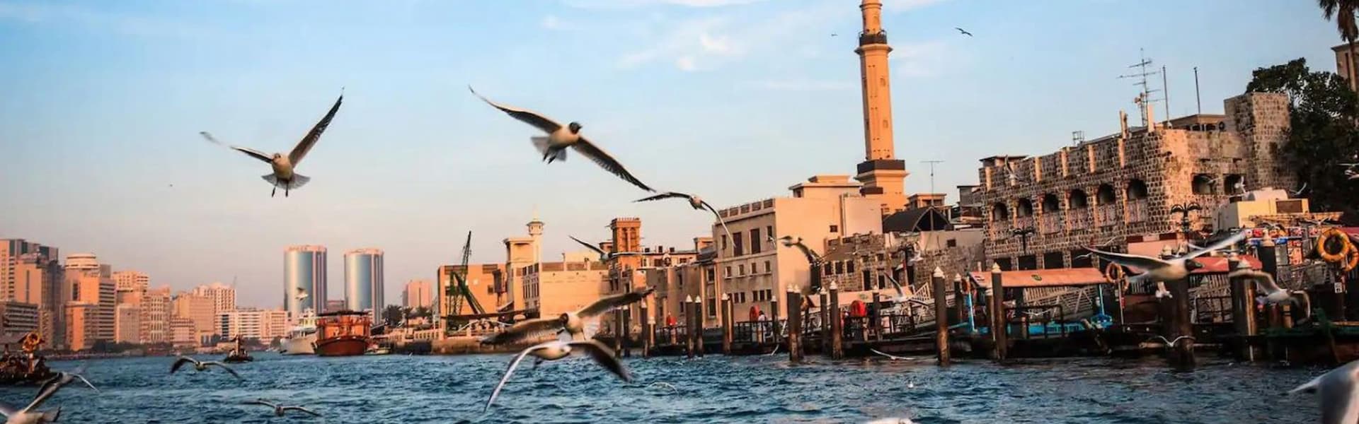 Go City Dubai Highlights Pass: Save up to 50% on Attractions - تصویر 18