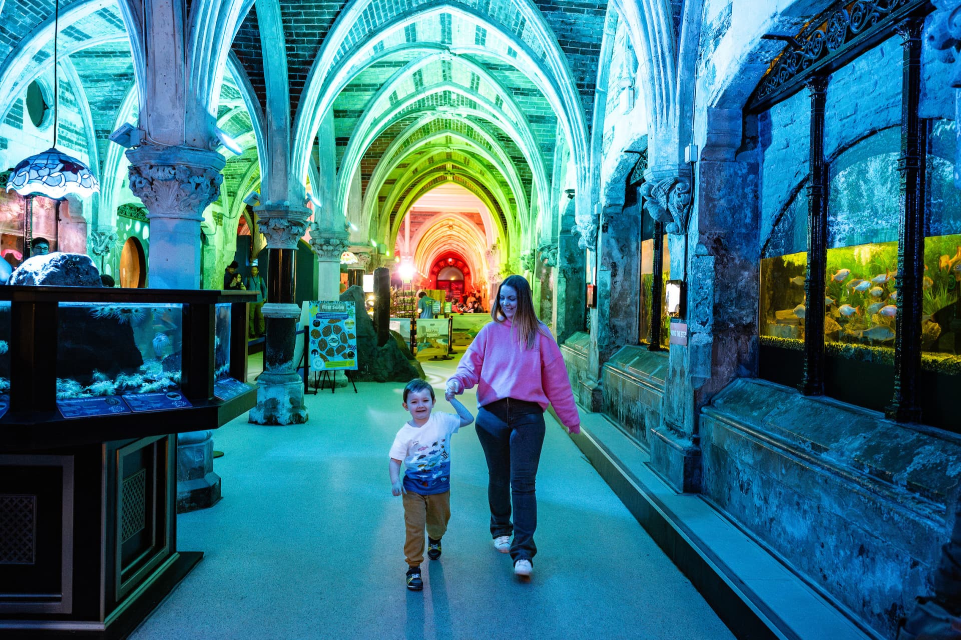 SEA LIFE Brighton Ticket - تصویر اصلی