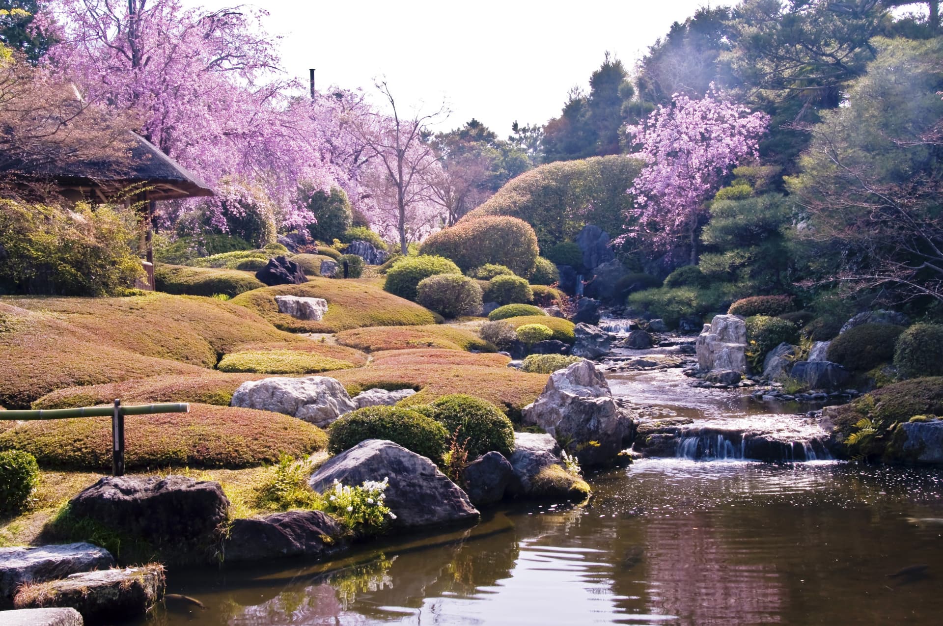 Myoshinji Temple Self-Guided Tour with Lunch - تصویر 6