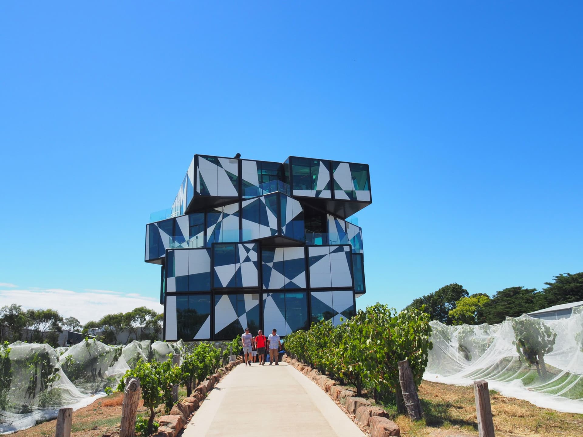 McLaren Vale and d’Arenberg Cube Wine Tasting Tour - تصویر 2