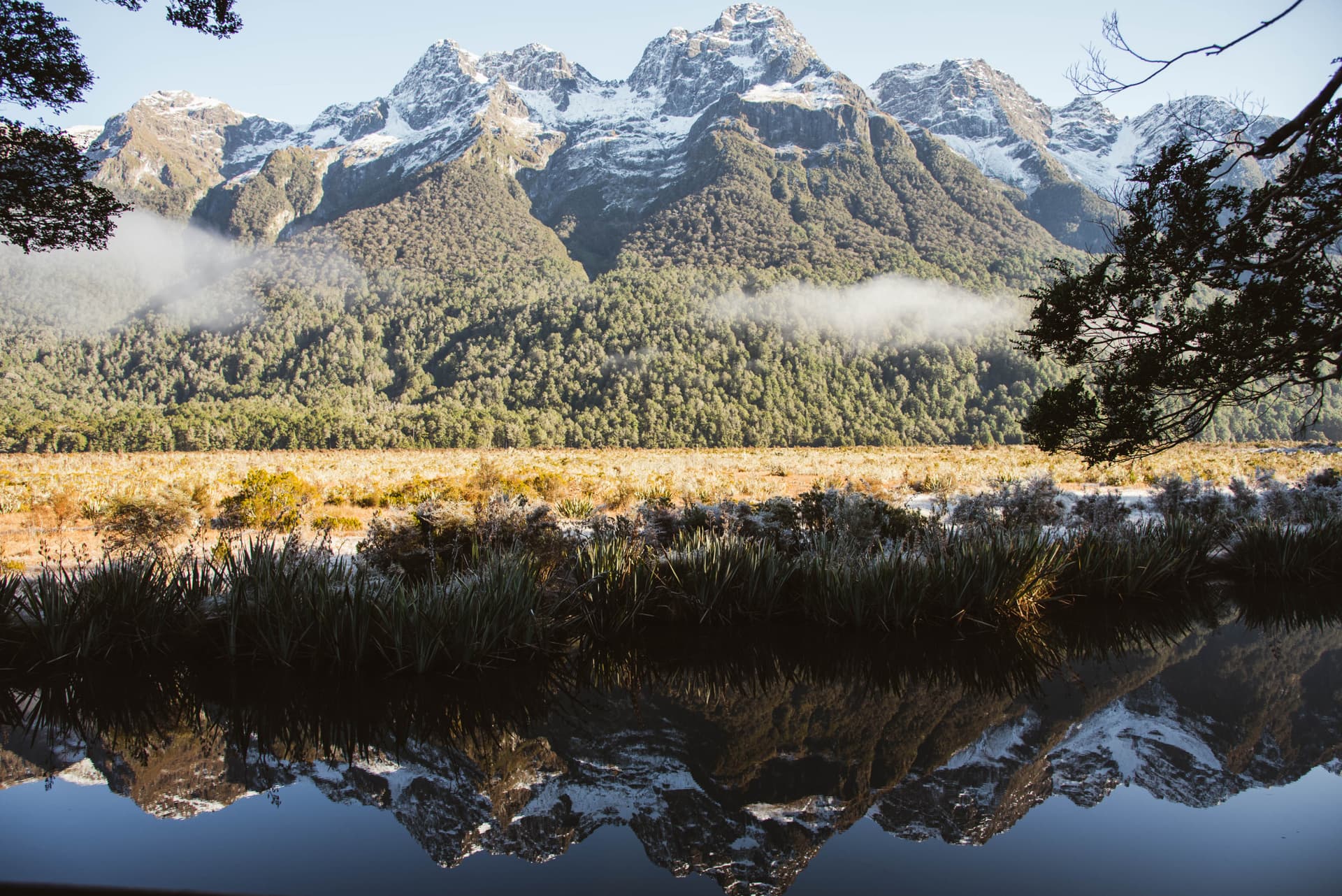 Milford Sound Coach and Cruise from Queenstown - تصویر اصلی