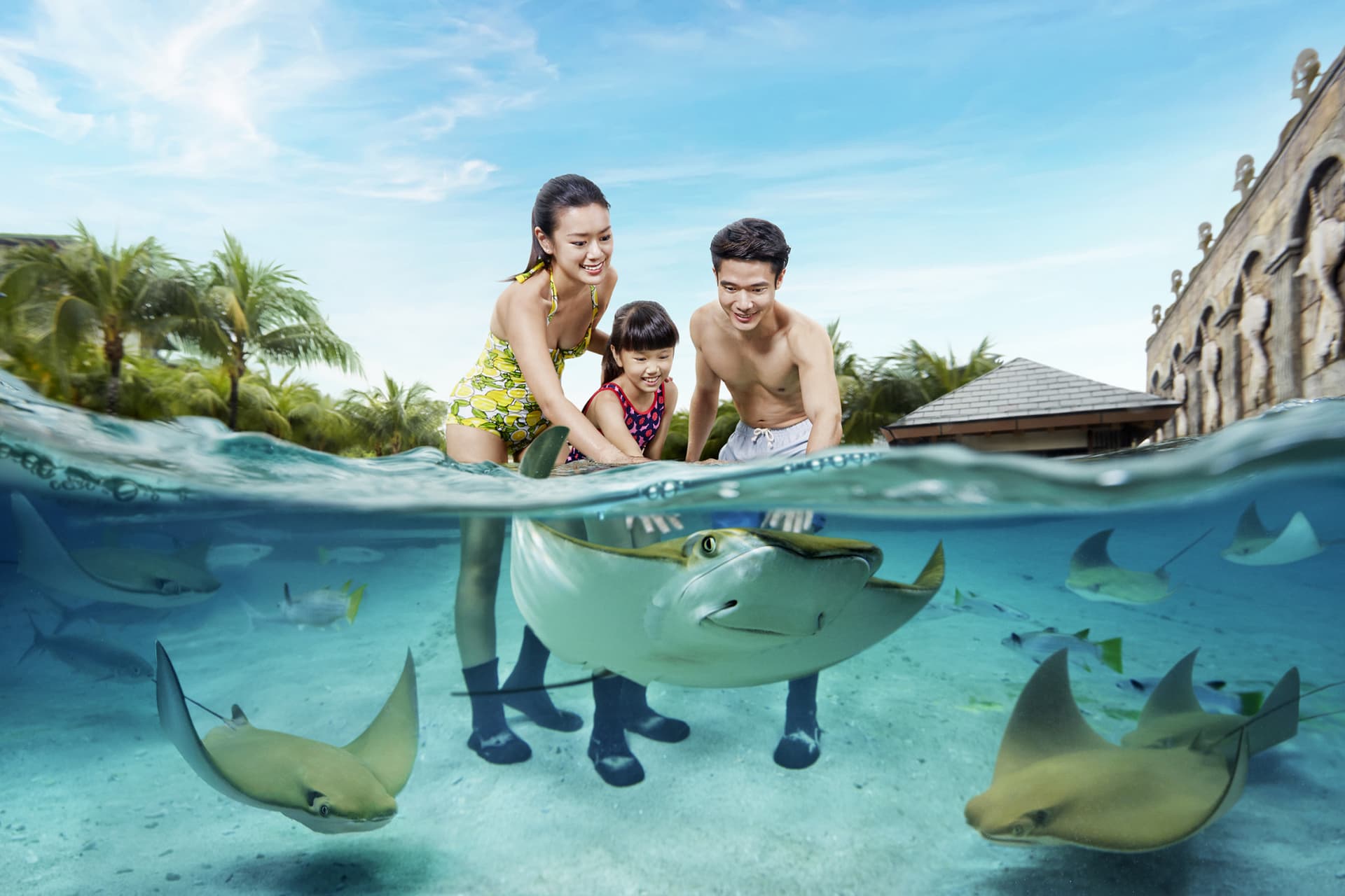 Adventure Cove Waterpark‎ Express Pass - تصویر 6