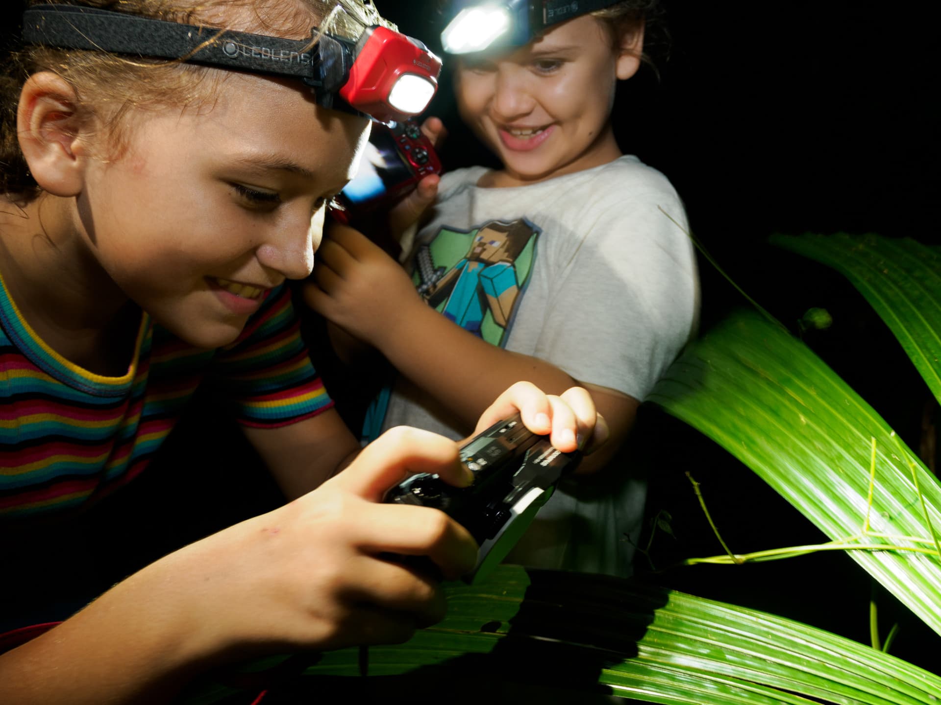 Cairns Botanic Gardens Night Walk Experience - تصویر 2