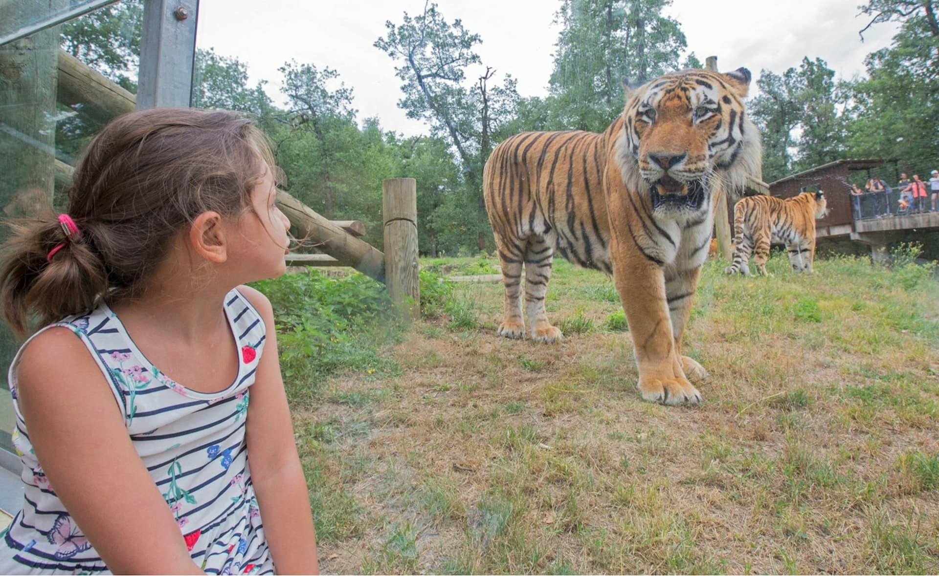 Safari de Peaugres: Entry Ticket - تصویر 2