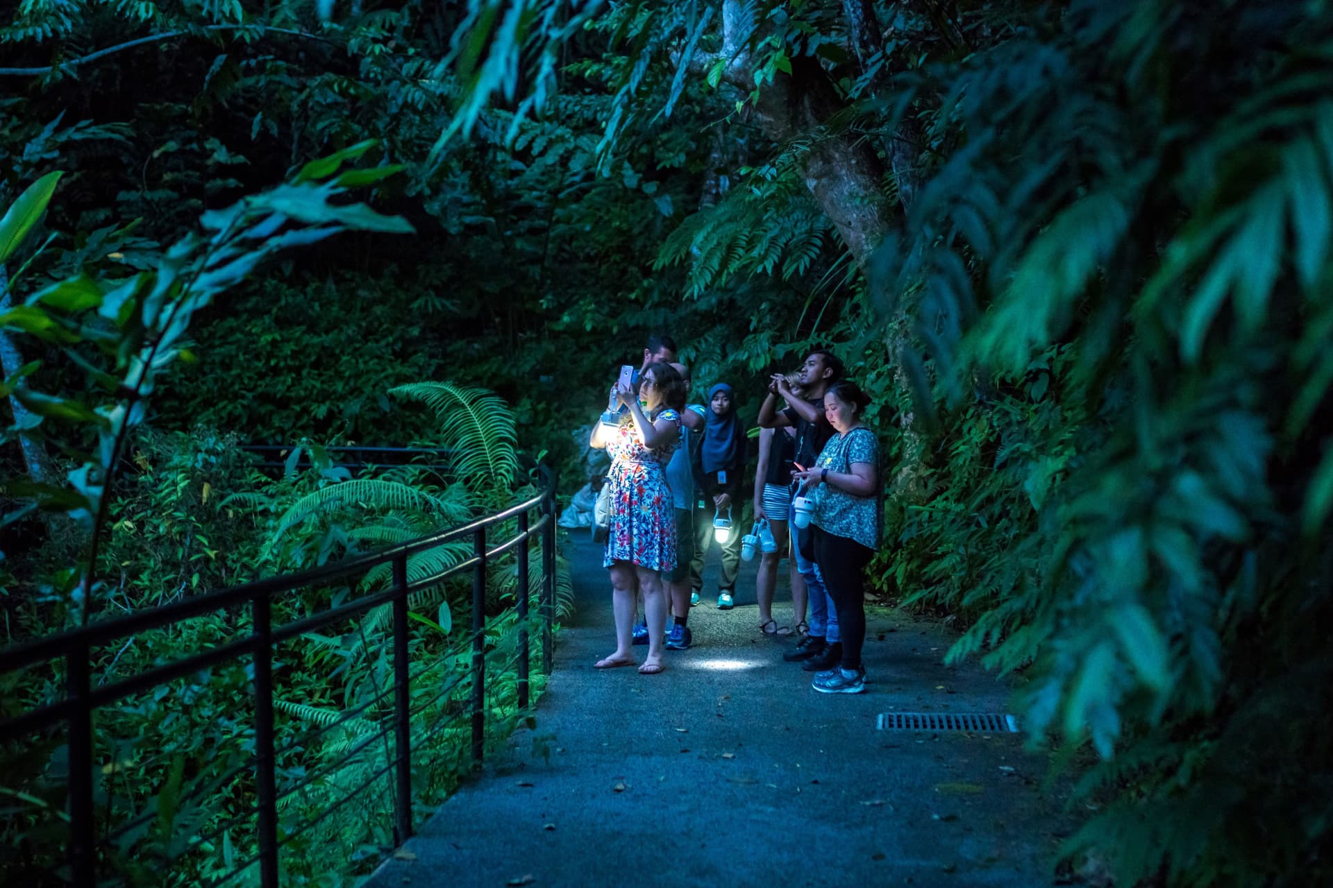 The Habitat Penang Hill Ticket - تصویر 22