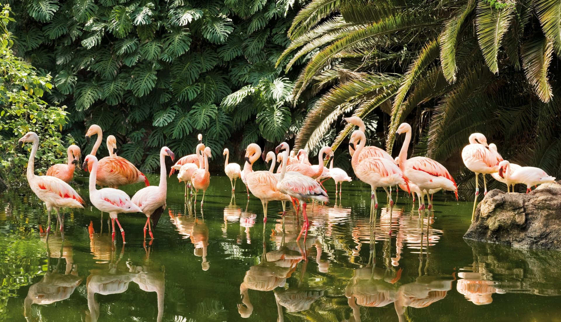 Loro Parque Ticket - تصویر 9