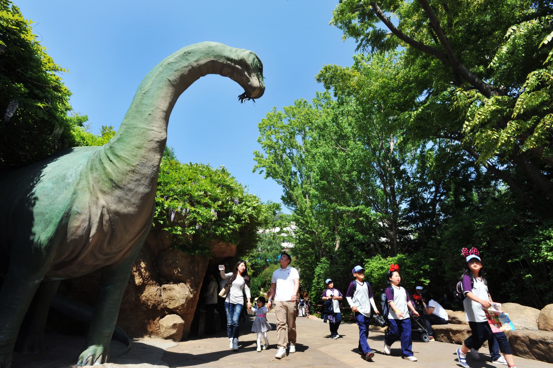 Everland Theme Park Ticket - تصویر 22