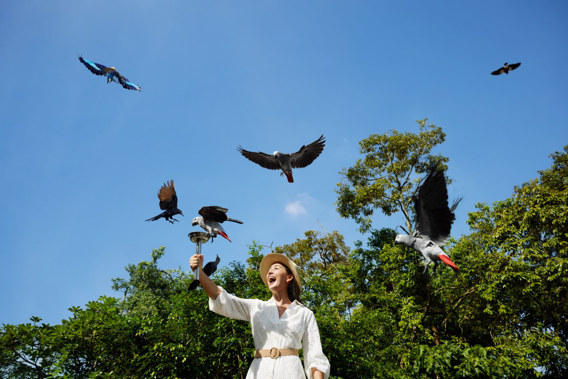 COMBO: River Wonders + Bird Paradise Ticket - تصویر 16