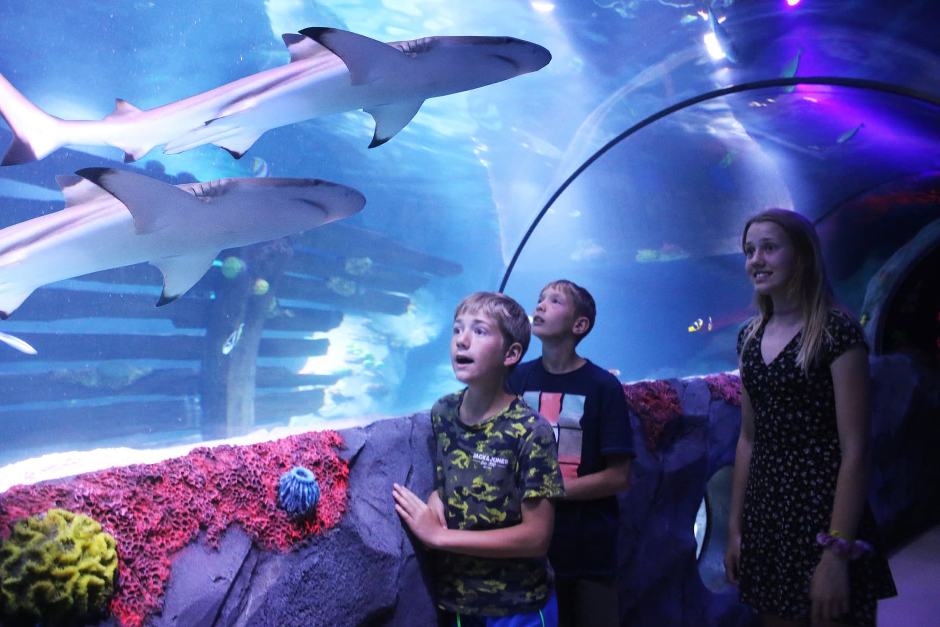 SEA LIFE Konstanz Aquarium Ticket - تصویر 2