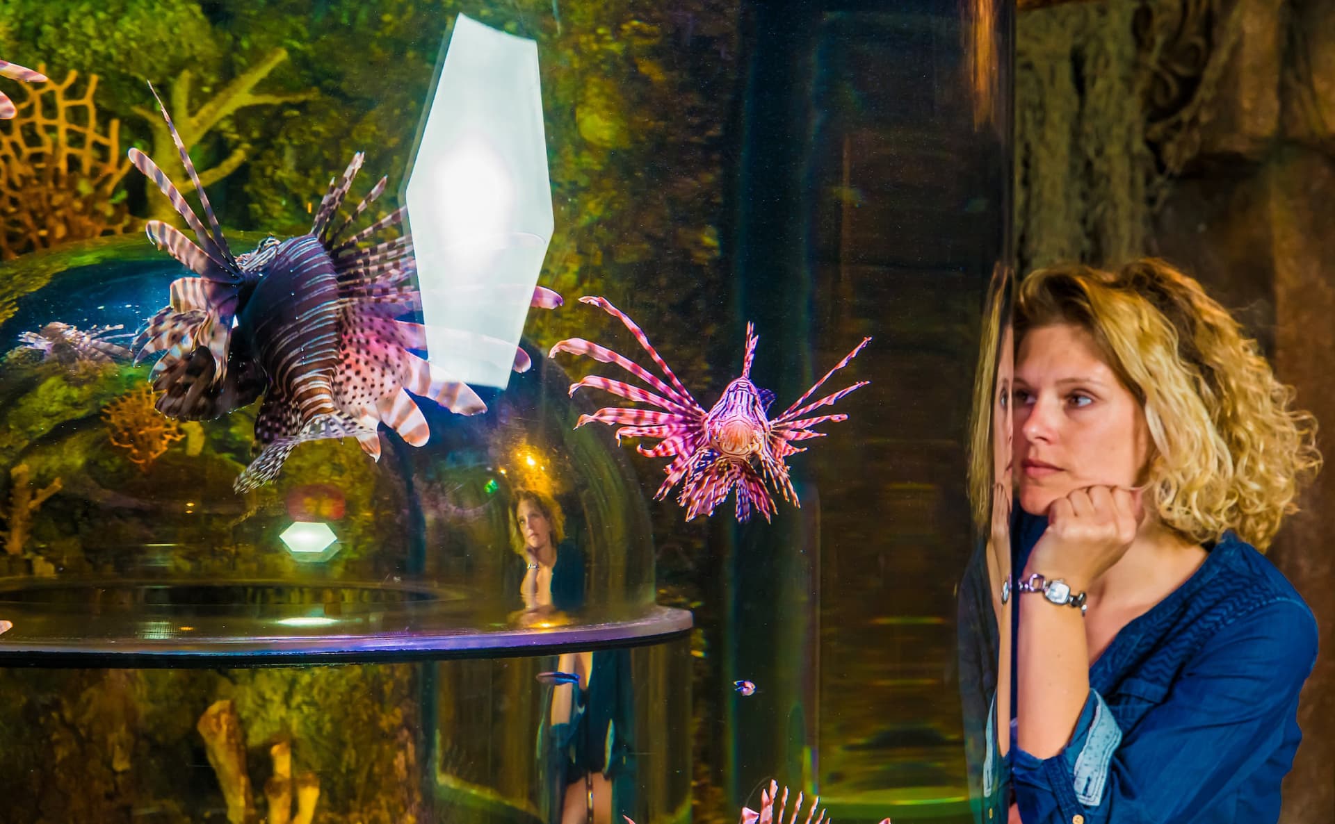 SEA LIFE Timmendorfer Strand Aquarium Ticket - تصویر 10