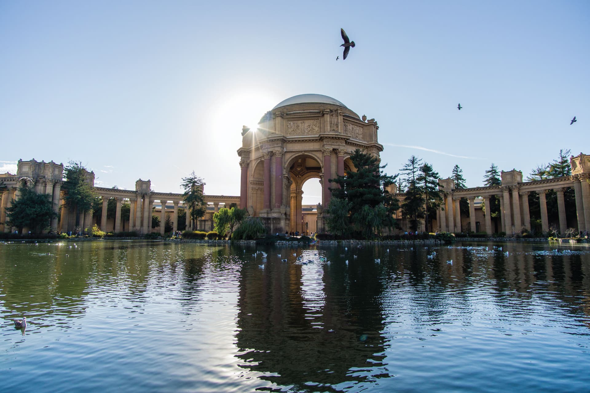 San Francisco Hop-On Hop-Off City Bus Tours by Skyline Sightseeing - تصویر 5