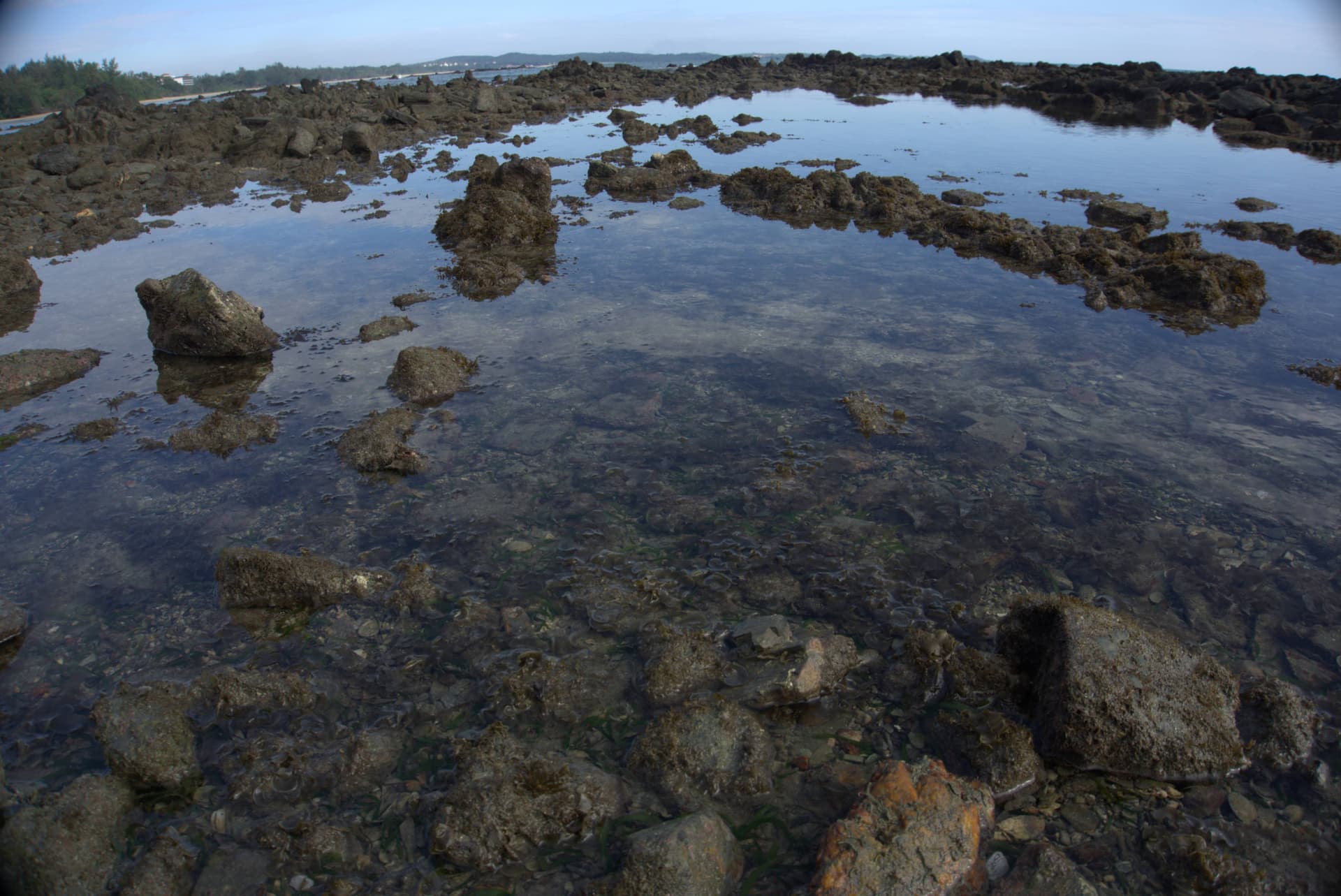 Desaru Beach and Tide Pool Walk - تصویر 30