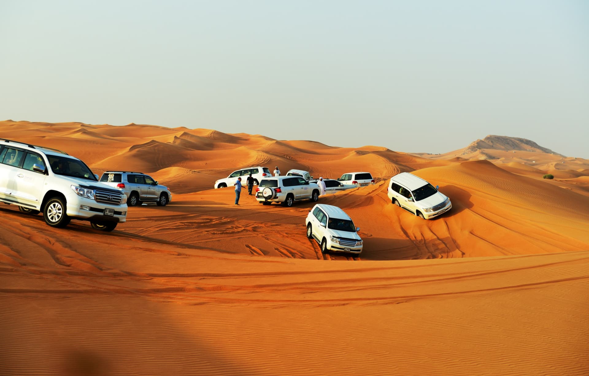 Liwa Desert Safari Tour - تصویر 3