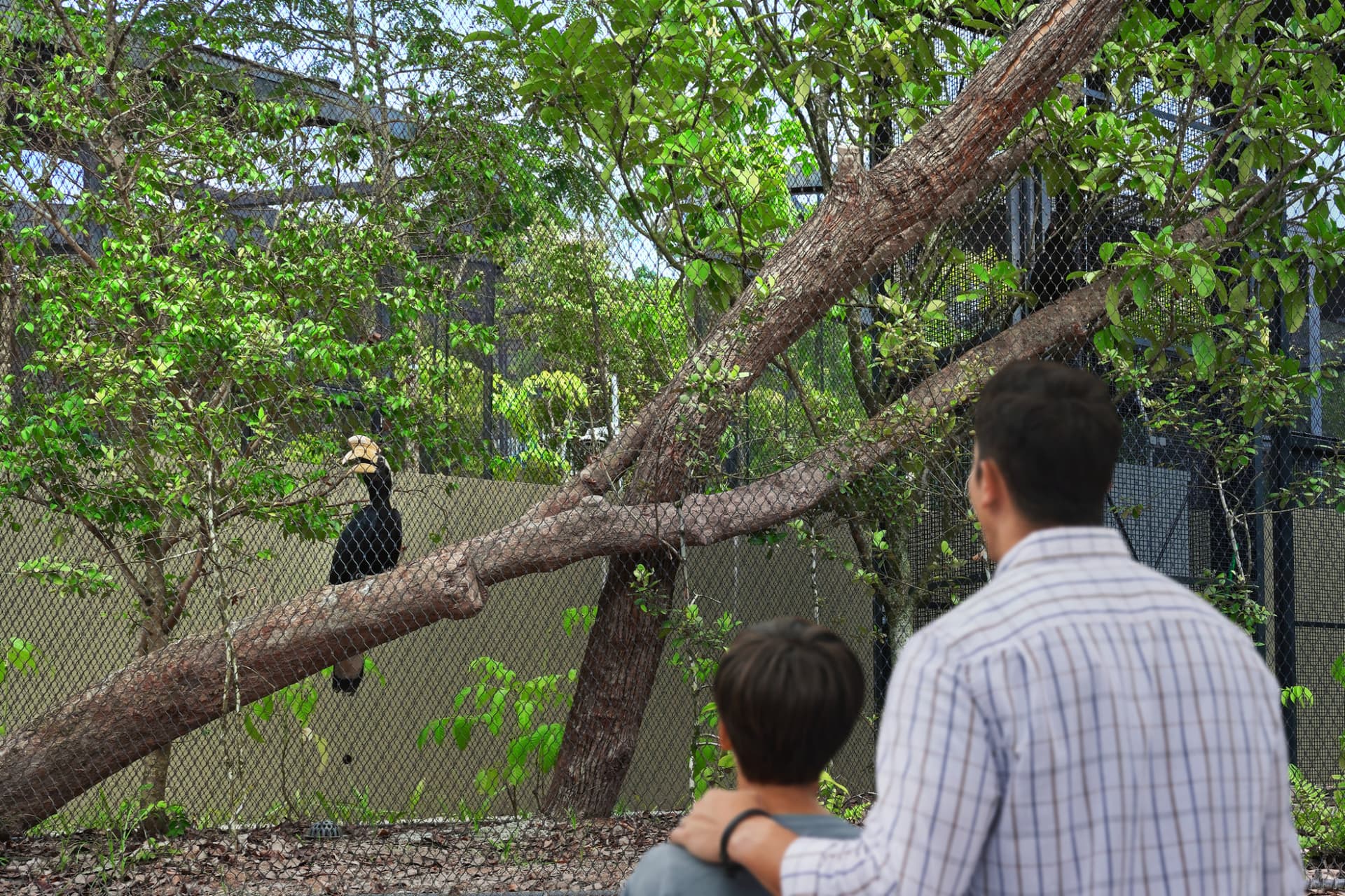 COMBO: River Wonders + Bird Paradise Ticket - تصویر 22