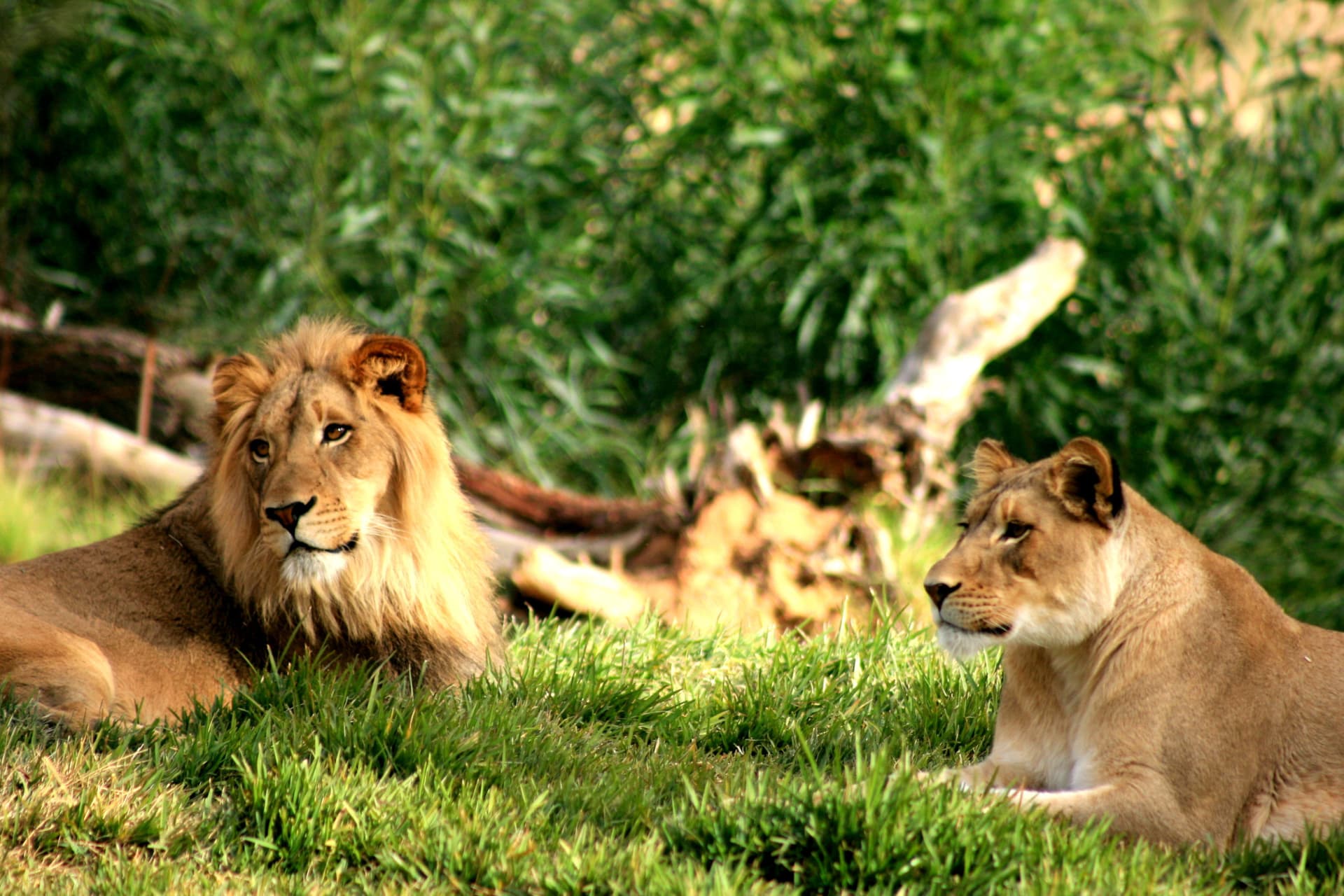 Go City Philadelphia All-Inclusive Pass: Save up to 50% on Attractions - تصویر 31