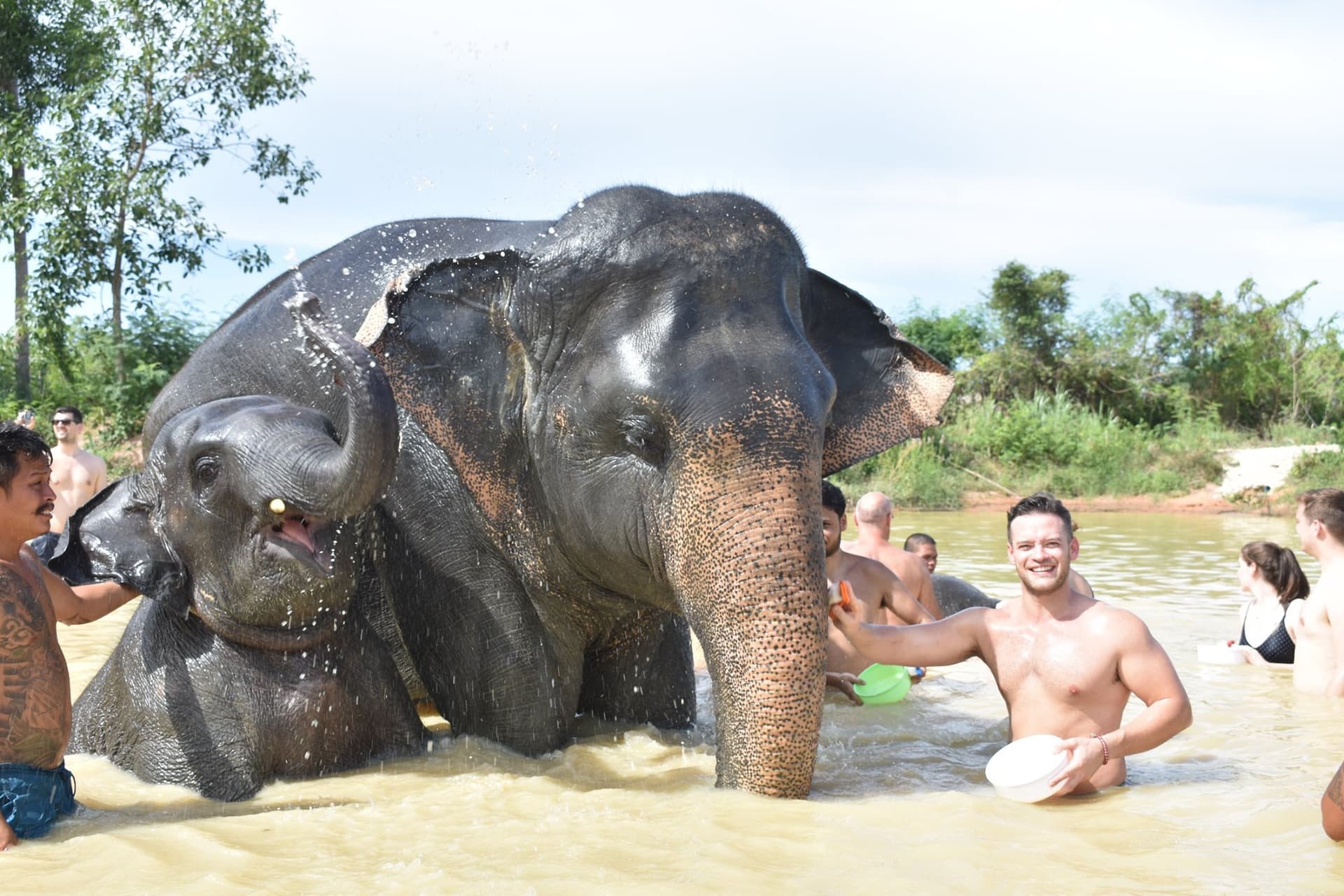 Elephant Jungle Sanctuary Pattaya - تصویر 7