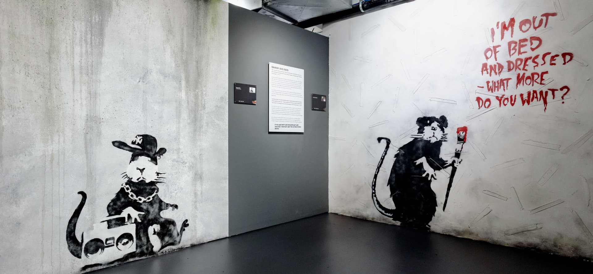 Banksy Museum New York Ticket - تصویر 9