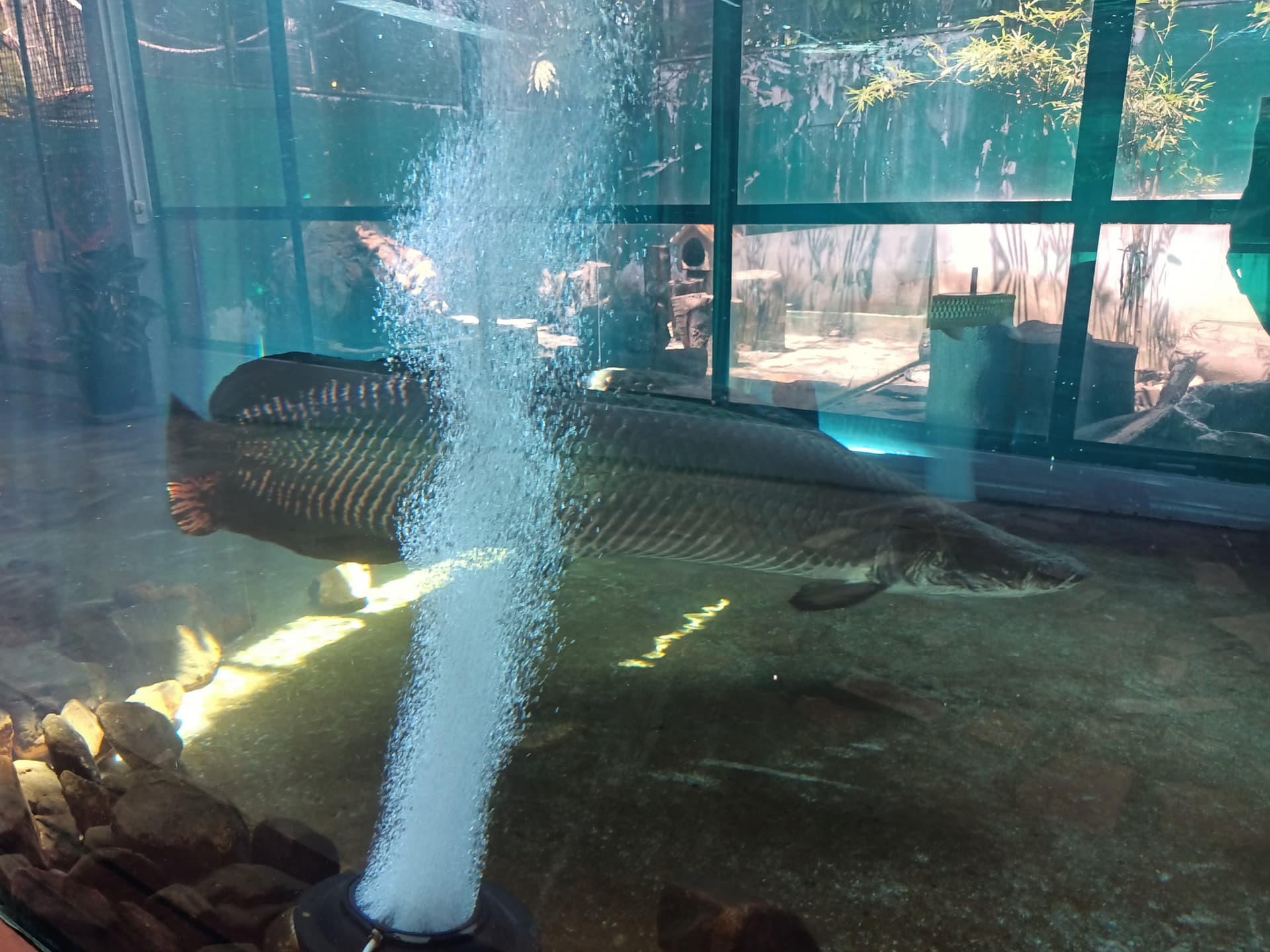 Langkawi Wildlife Park - تصویر 15