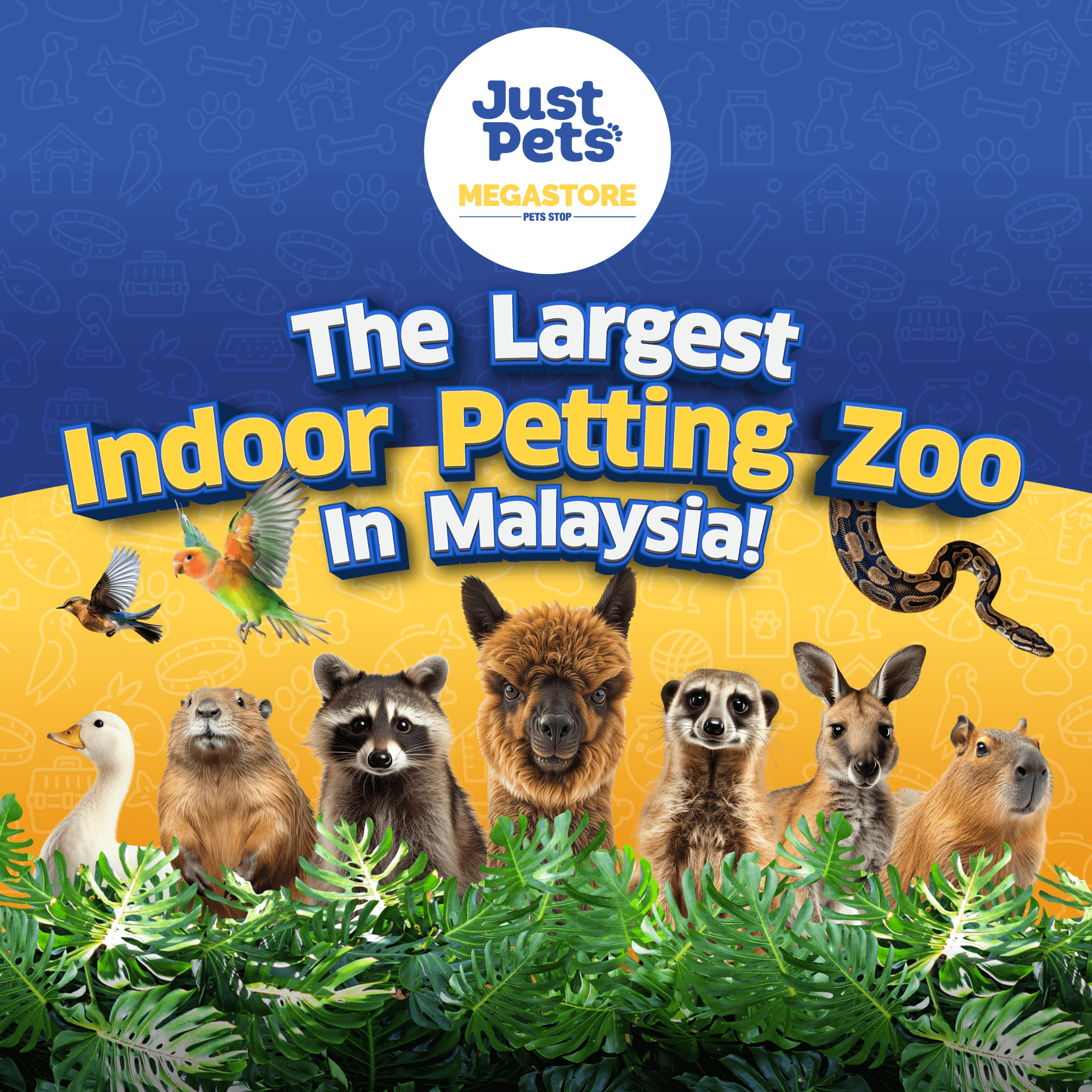 Just Farm Indoor Zoo Kuala Lumpur  (Previously Known As Just Pets Megastore) - تصویر اصلی