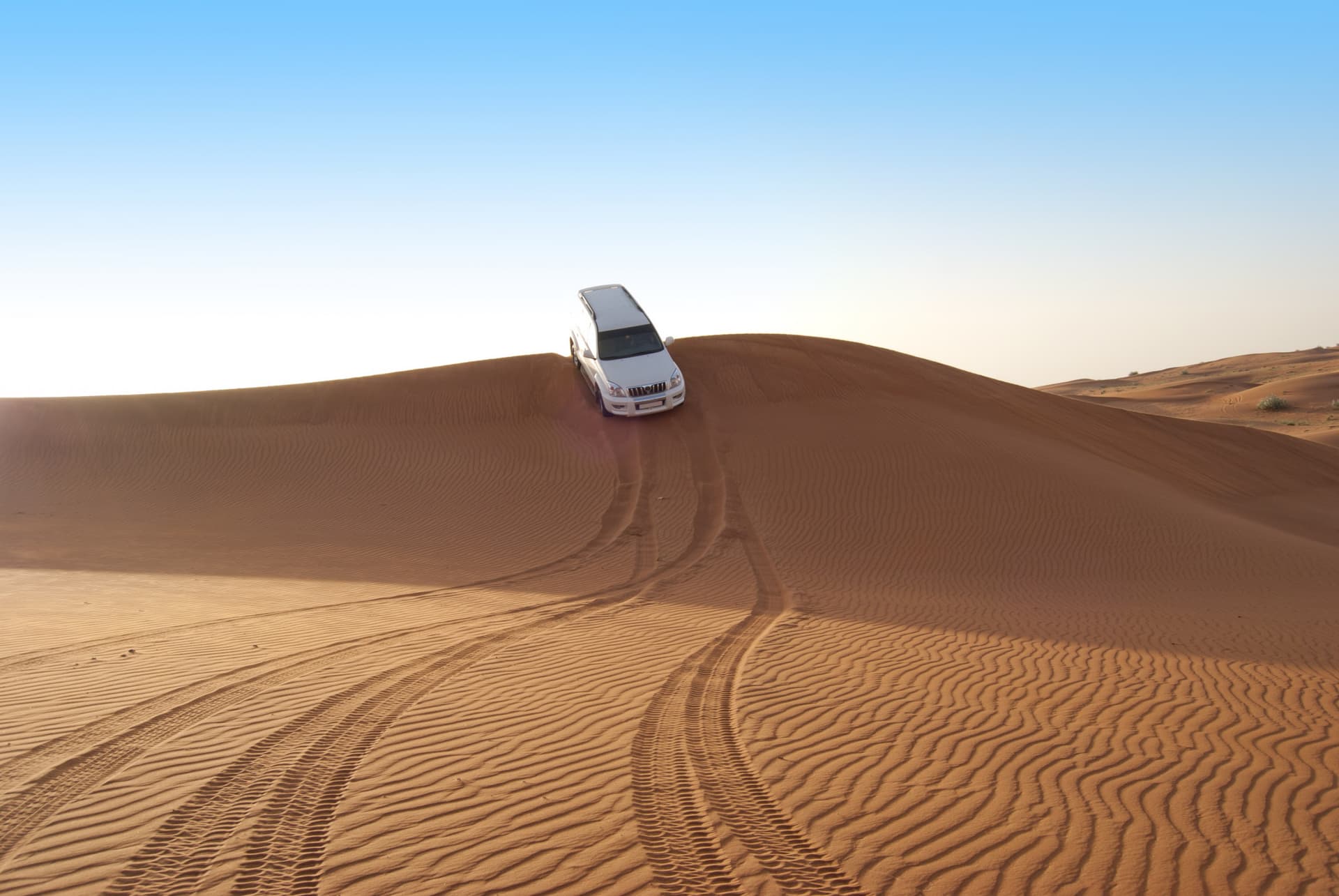 Liwa Desert Safari Tour - تصویر 7