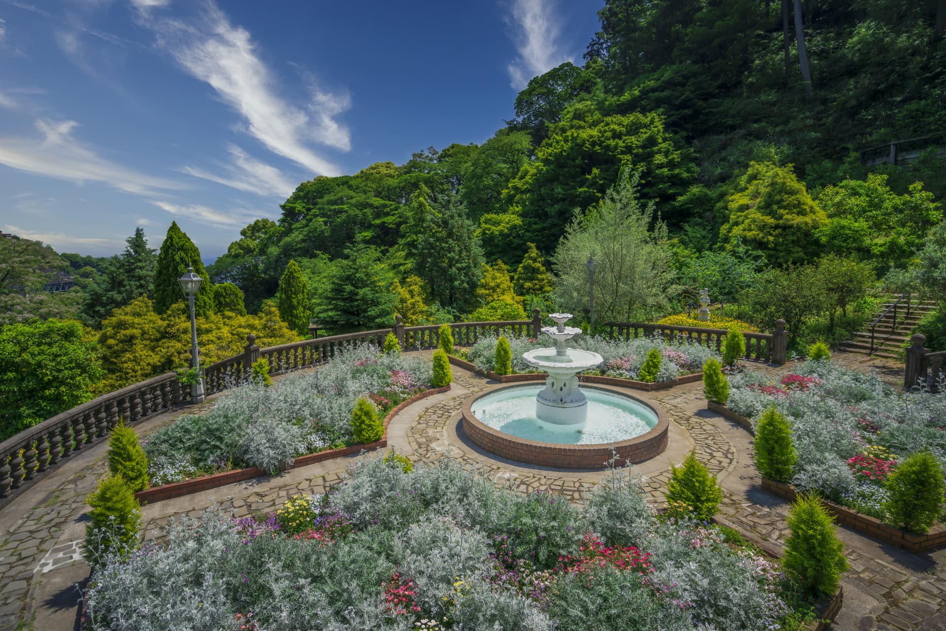 Acao Forest in Shizuoka - تصویر اصلی
