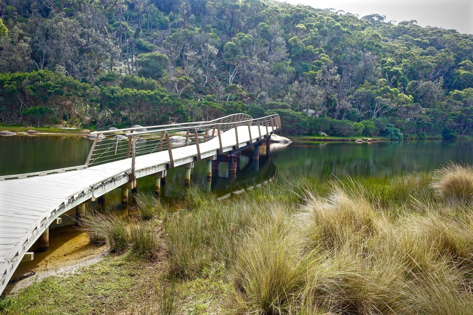 Wilsons Promontory National Park Tour from Melbourne - تصویر 8