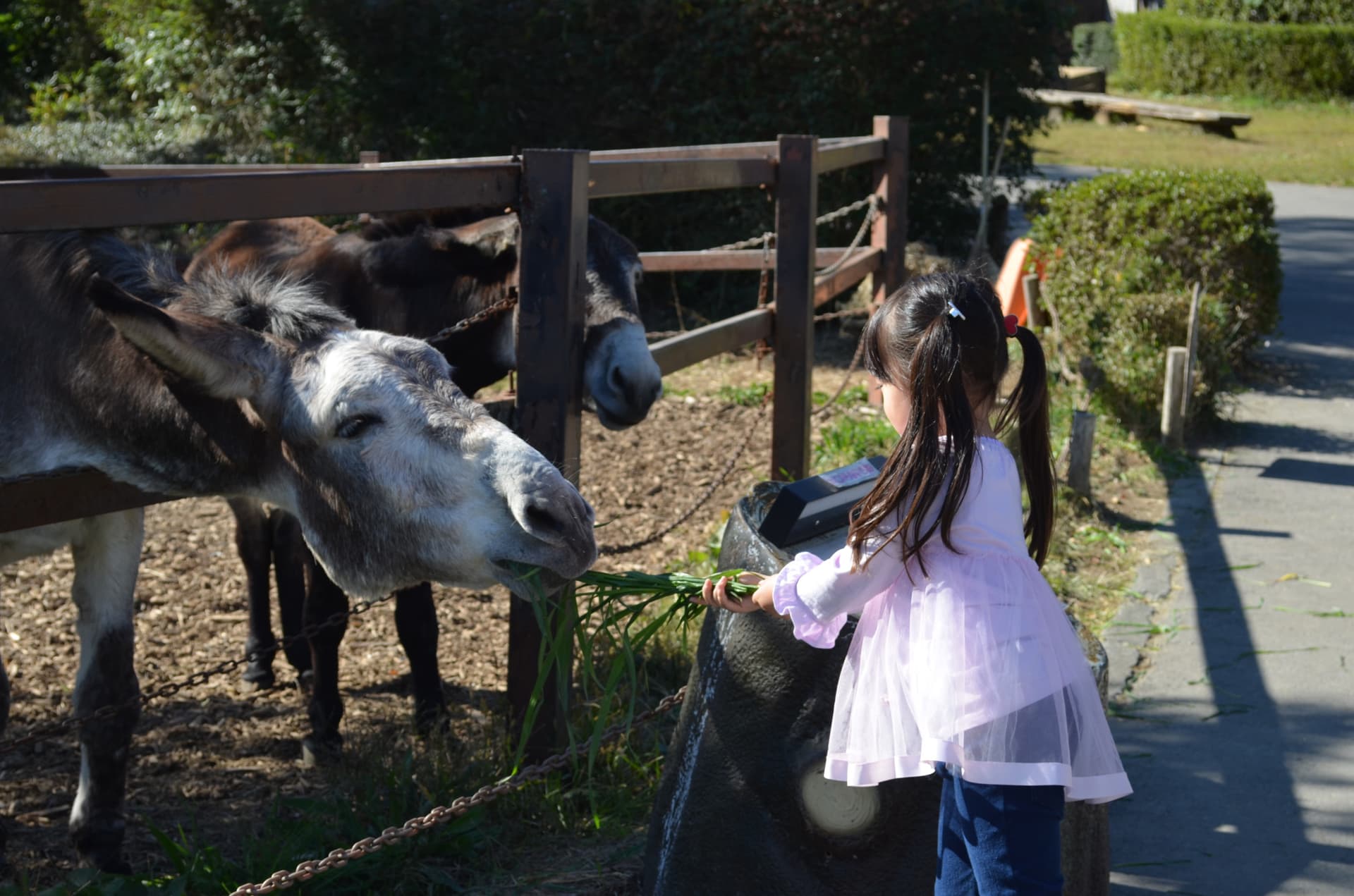 Gunma Safari Park Ticket - تصویر 4
