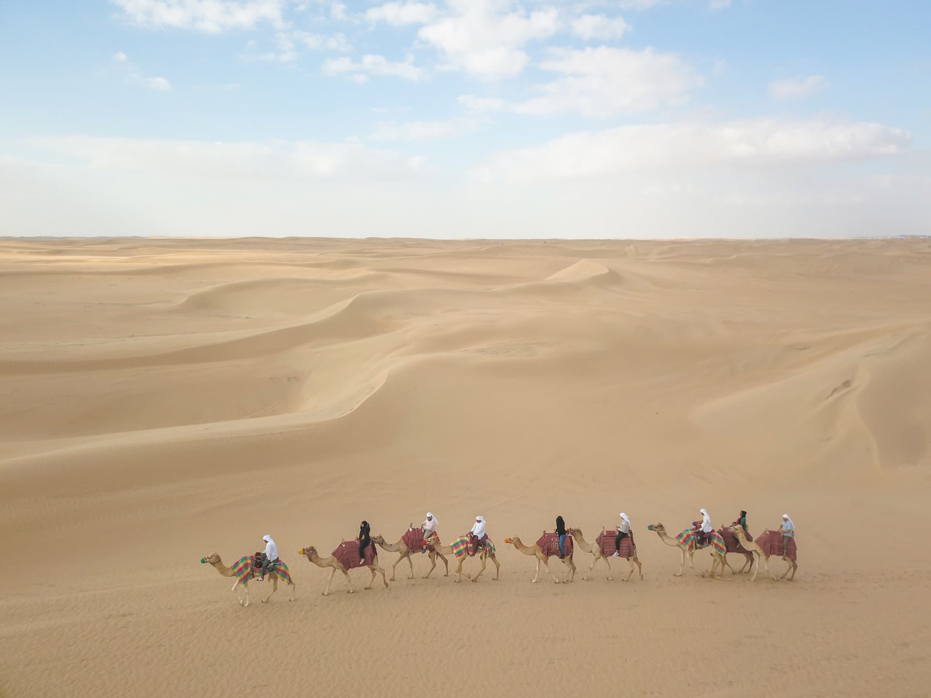 Half-Day Desert Safari, Camel Ride with Refreshments - تصویر 2