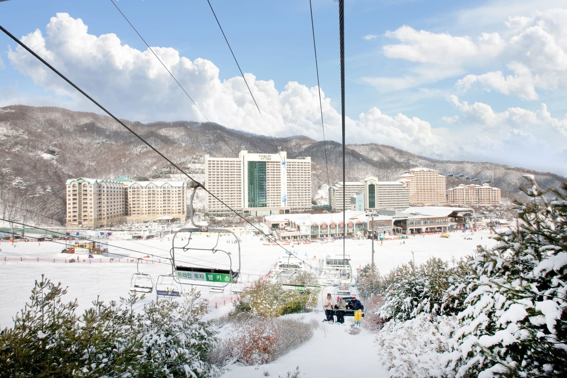 Vivaldi Park Winter Ski and Eobi Ice Valley Day Tour from Seoul - تصویر 2