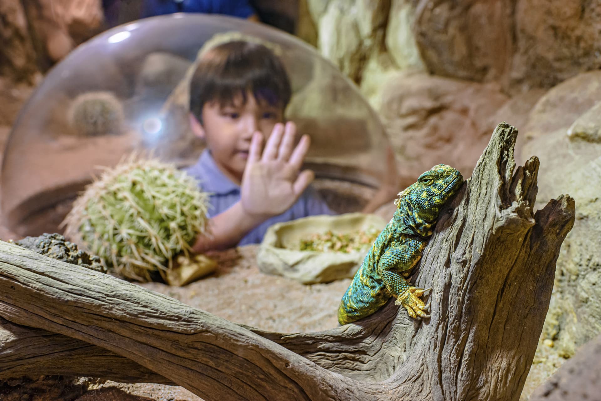 Singapore Zoo Ticket - تصویر 13