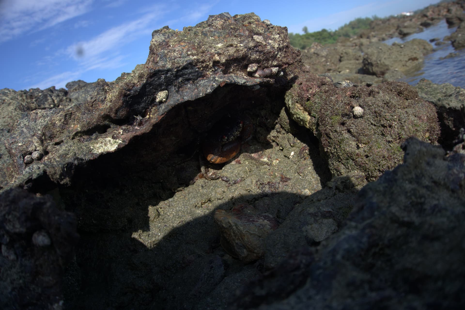 Desaru Beach and Tide Pool Walk - تصویر 38