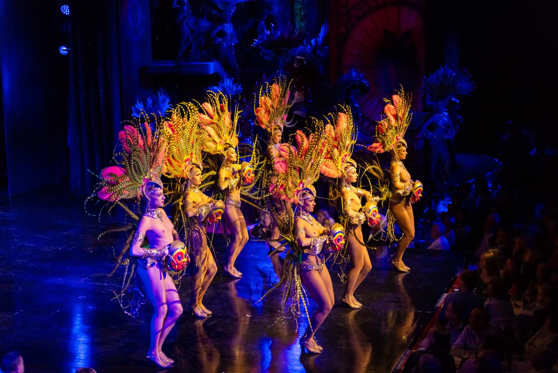Moulin Rouge Cabaret Show and Paris Bus Tour - تصویر اصلی