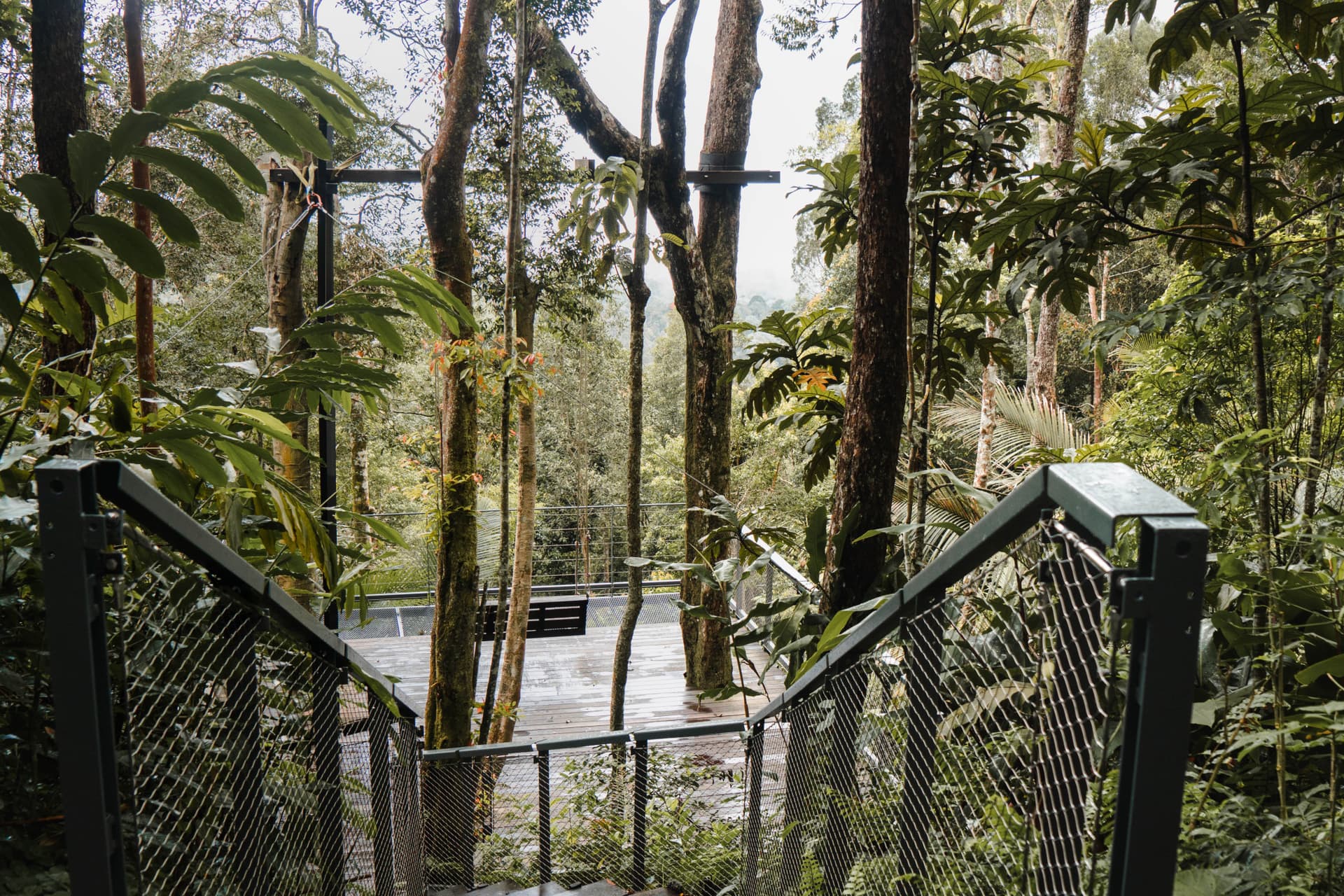 The Habitat Penang Hill Ticket - تصویر 16
