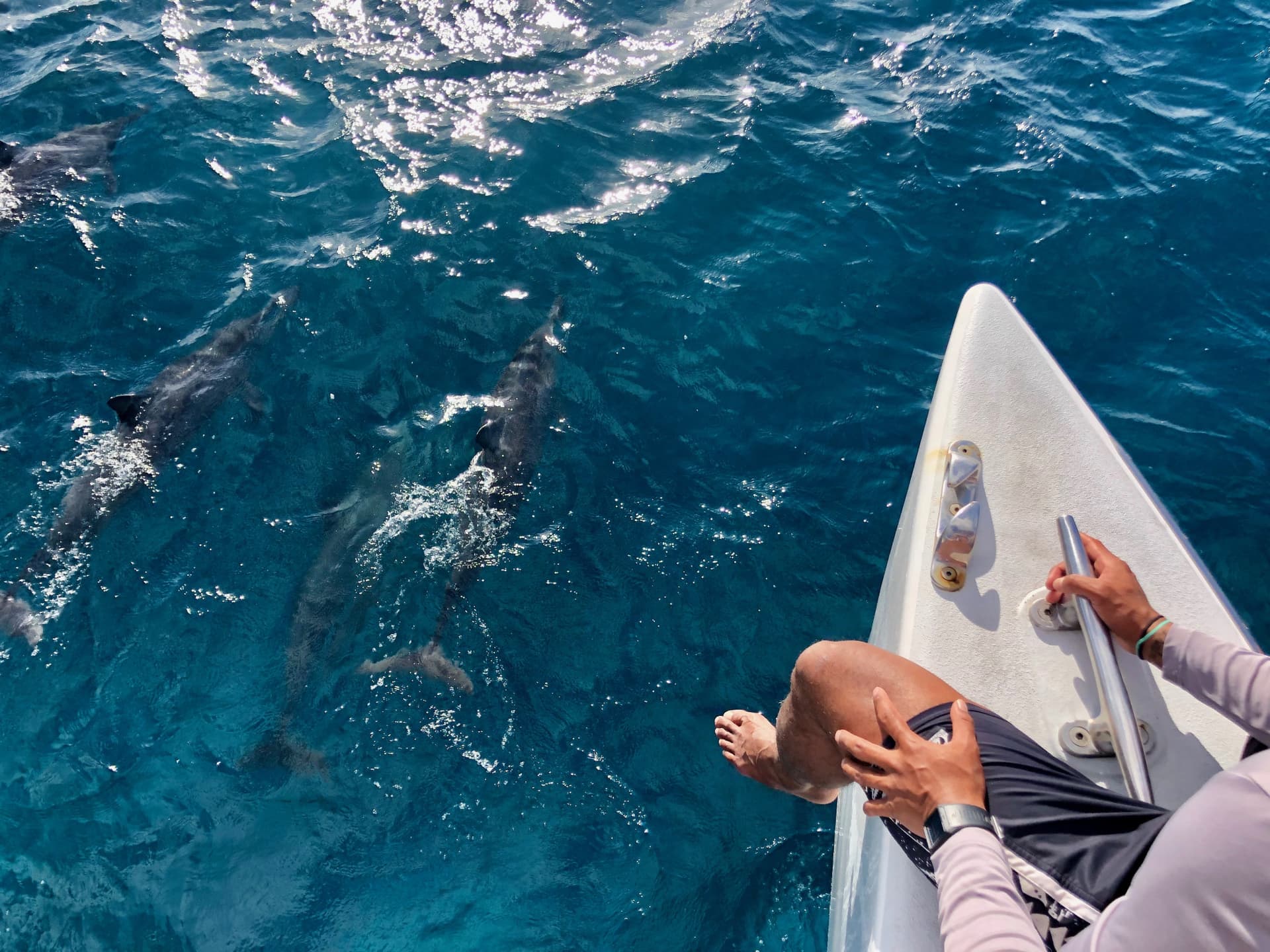 Go City Oahu All-Inclusive Pass: Save up to 50% on Attractions - تصویر 43