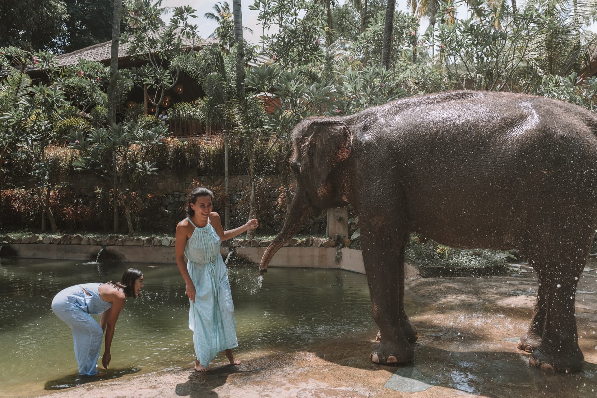 Lombok Wildlife Park Elephant Bath Experience - تصویر 3