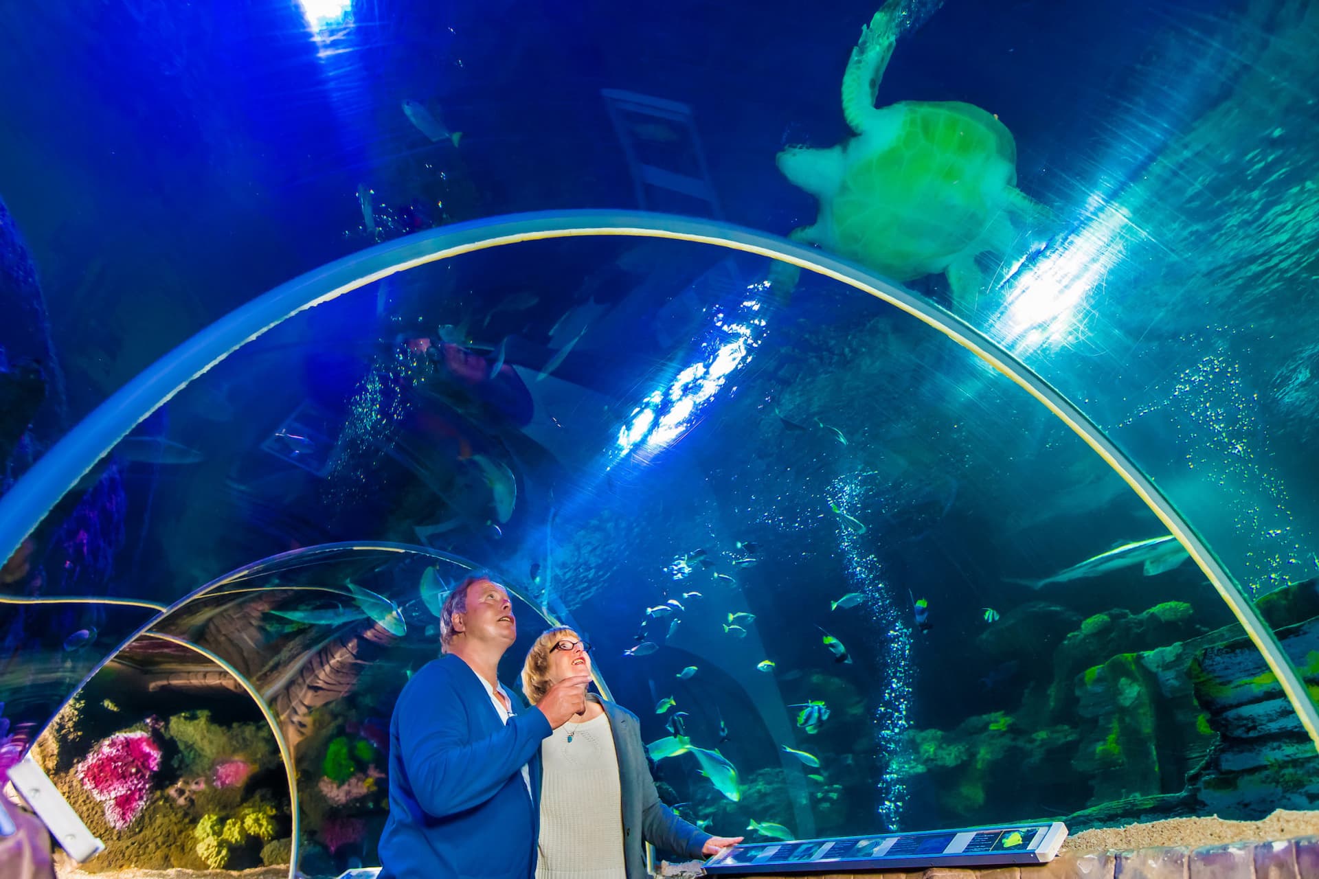 SEA LIFE Timmendorfer Strand Aquarium Ticket - تصویر 2