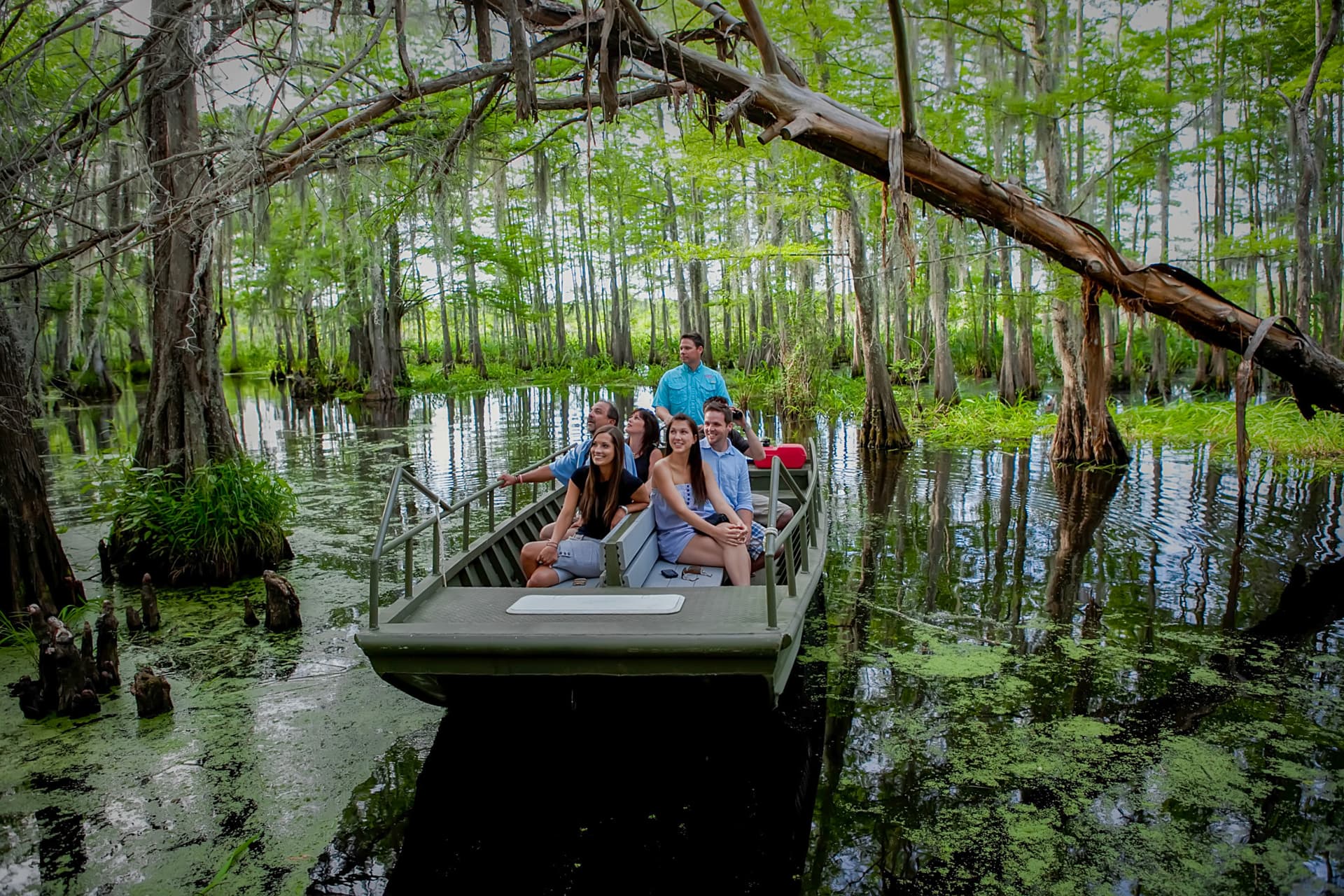 Go City New Orleans Essentials Pass: 3 Attractions - تصویر 4