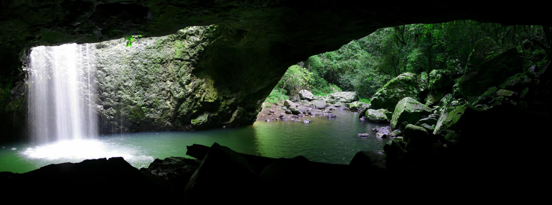 Springbrook National Park Tour: Natural Bridge and Waterfalls - تصویر 10