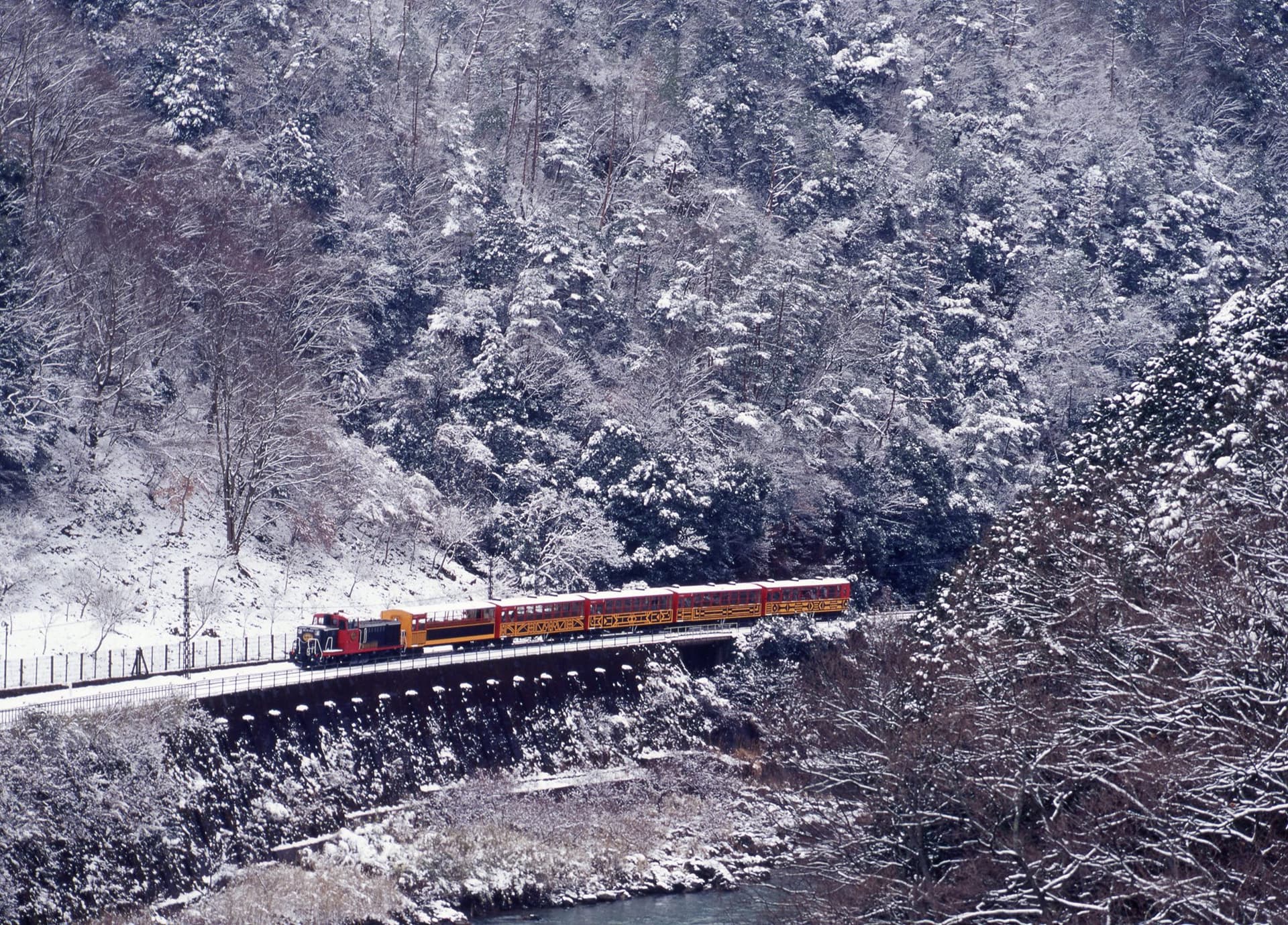 Sagano Romantic Train - تصویر 24